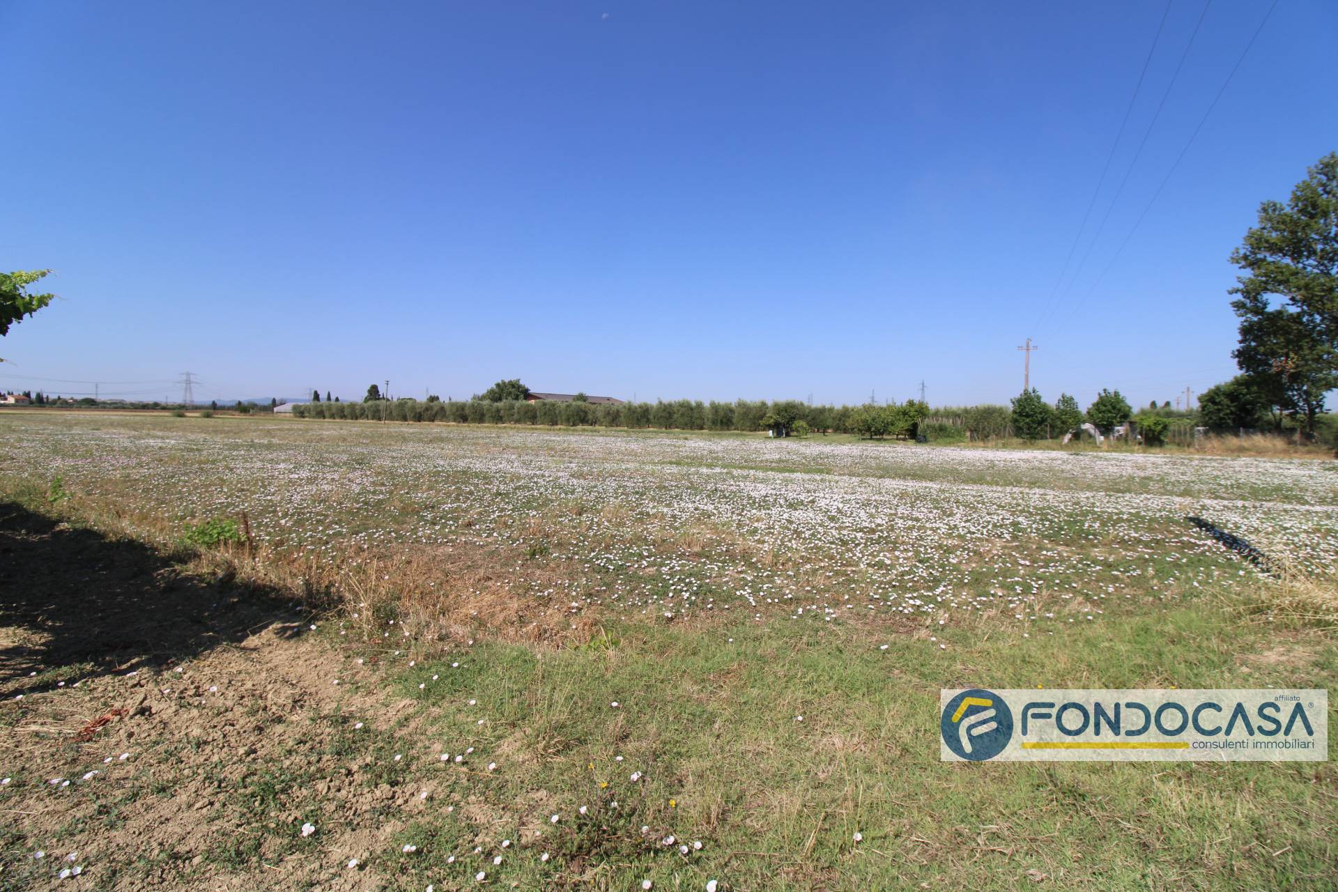 Terreno Agricolo in vendita a Pontedera