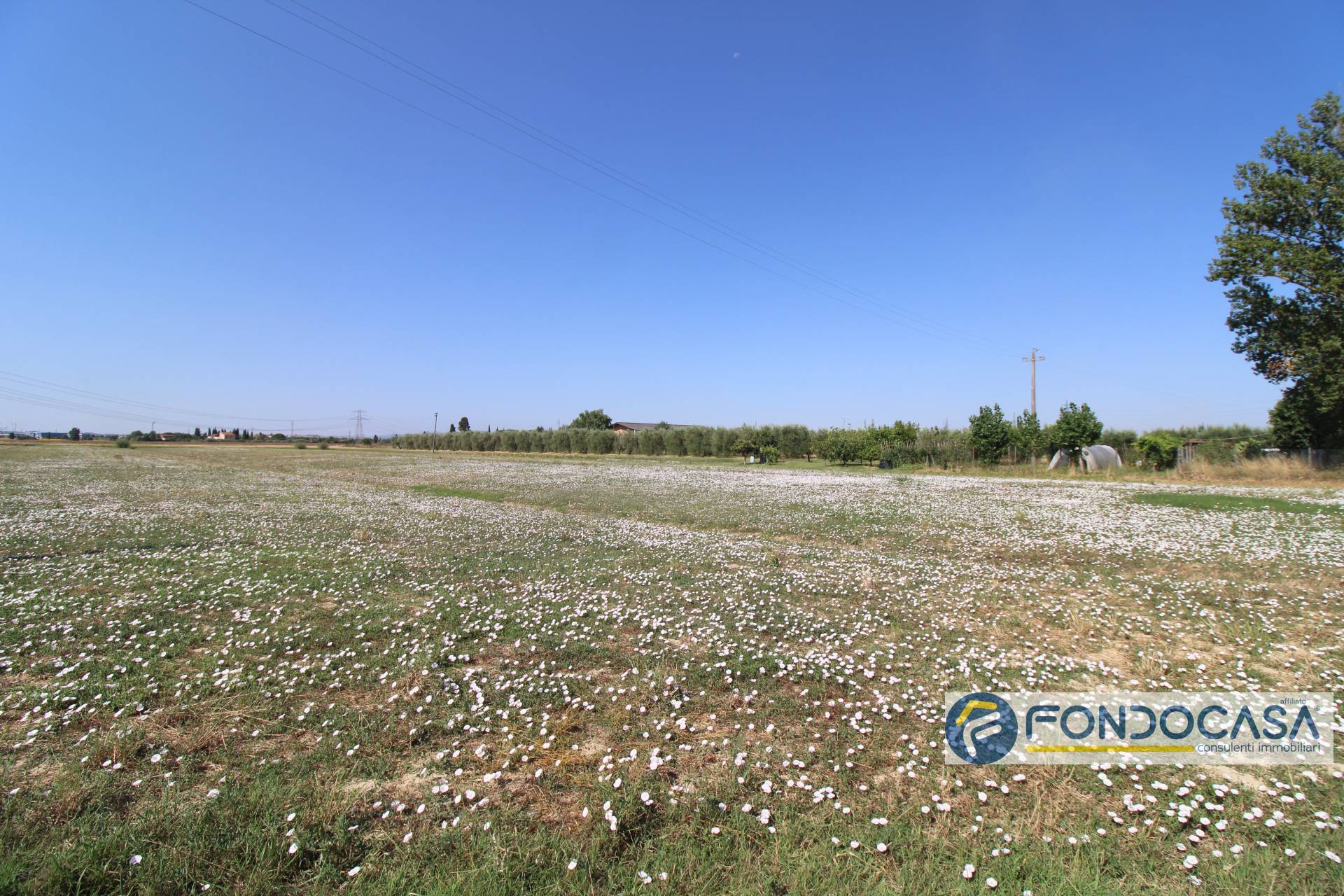 Terreno Agricolo in vendita a Pontedera