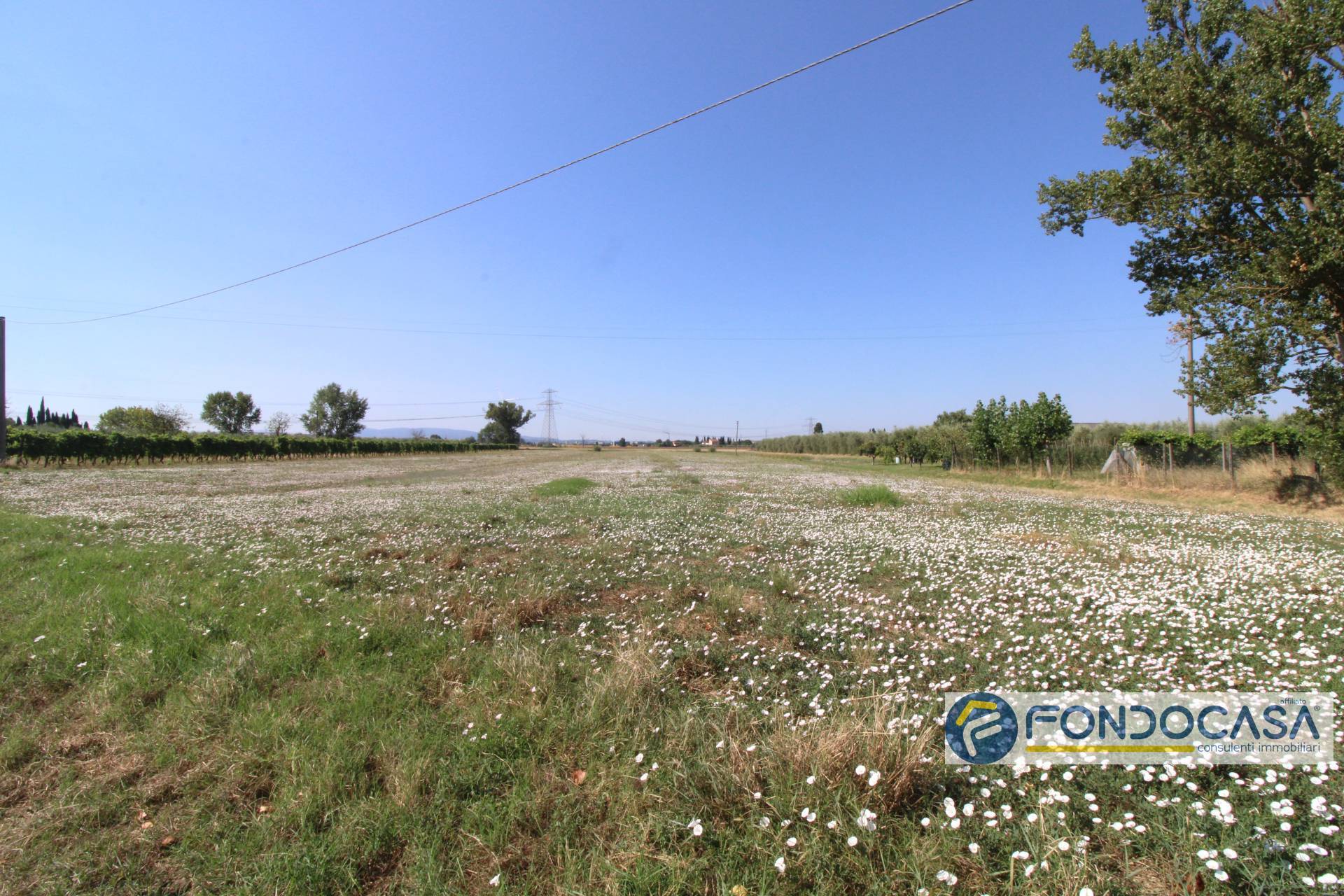 Terreno Agricolo in vendita a Pontedera