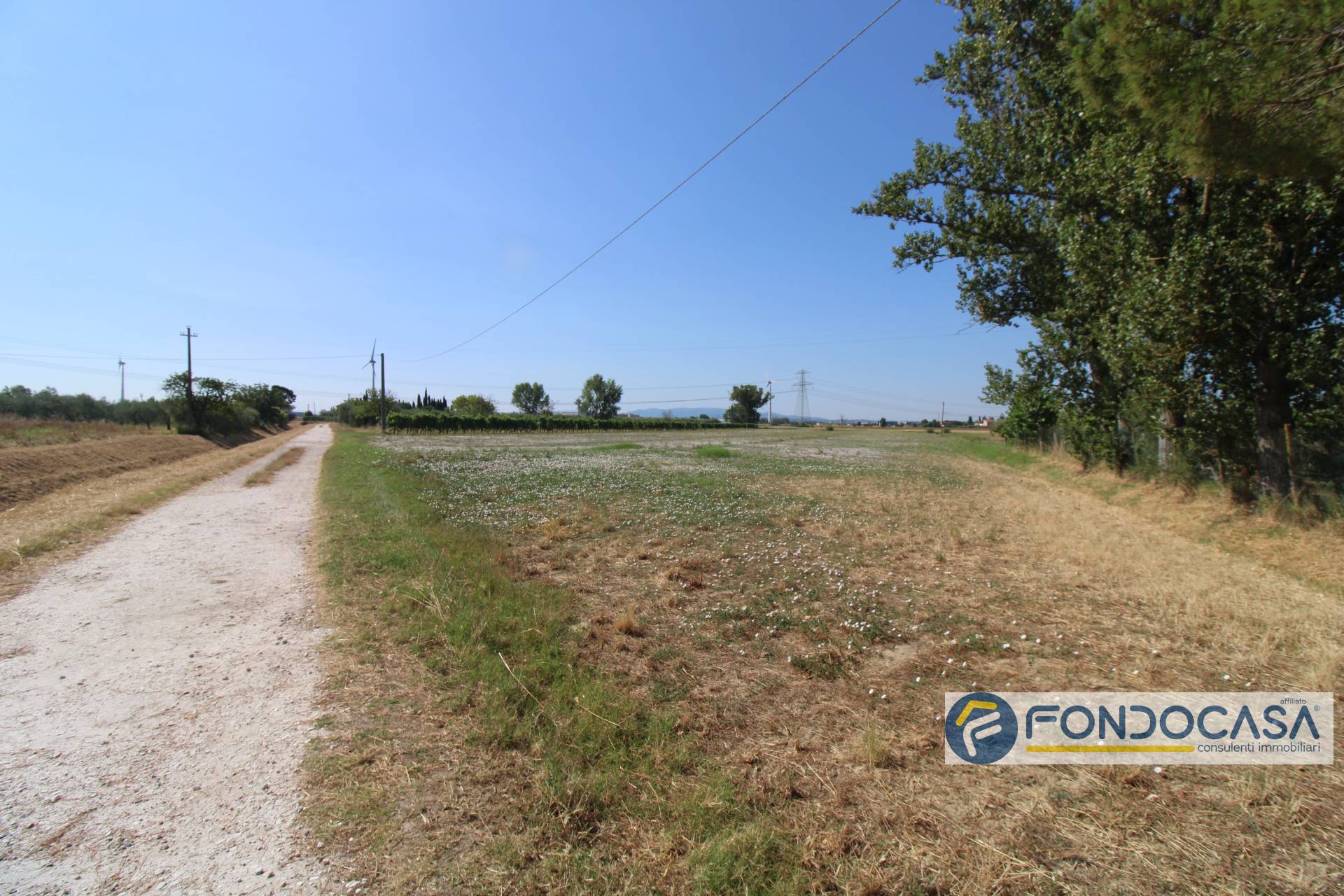 Terreno Agricolo in vendita a Pontedera