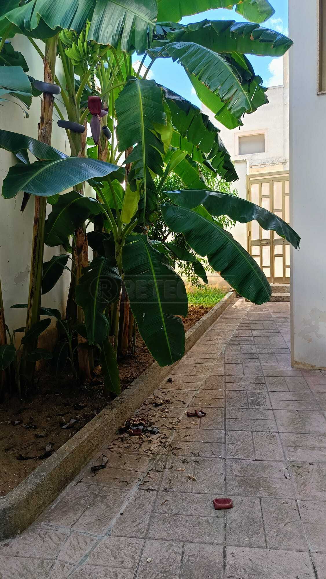Quadrilocale con giardino in via apulia 3, Martano