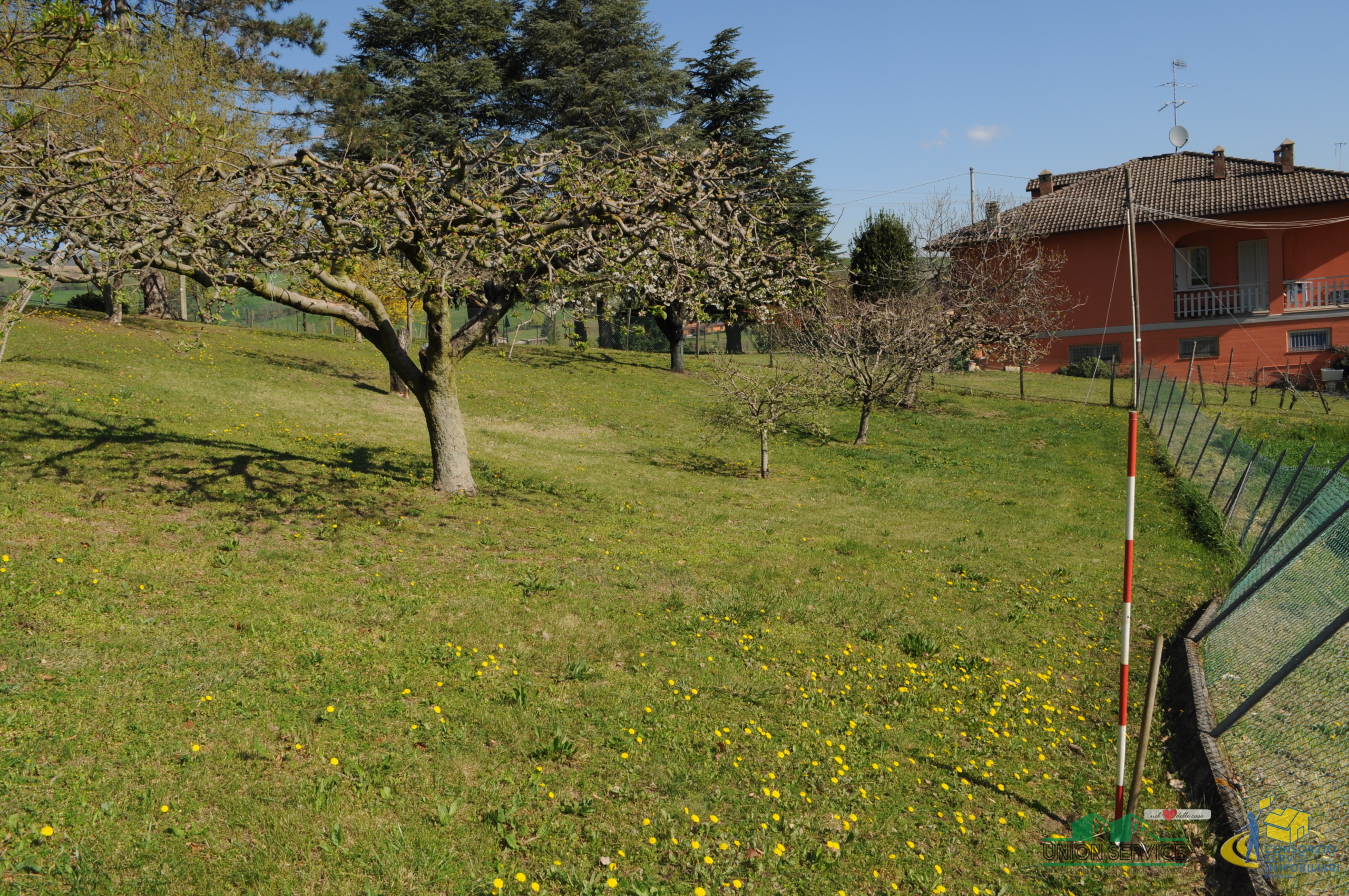 immagine annuncio 5 di 6