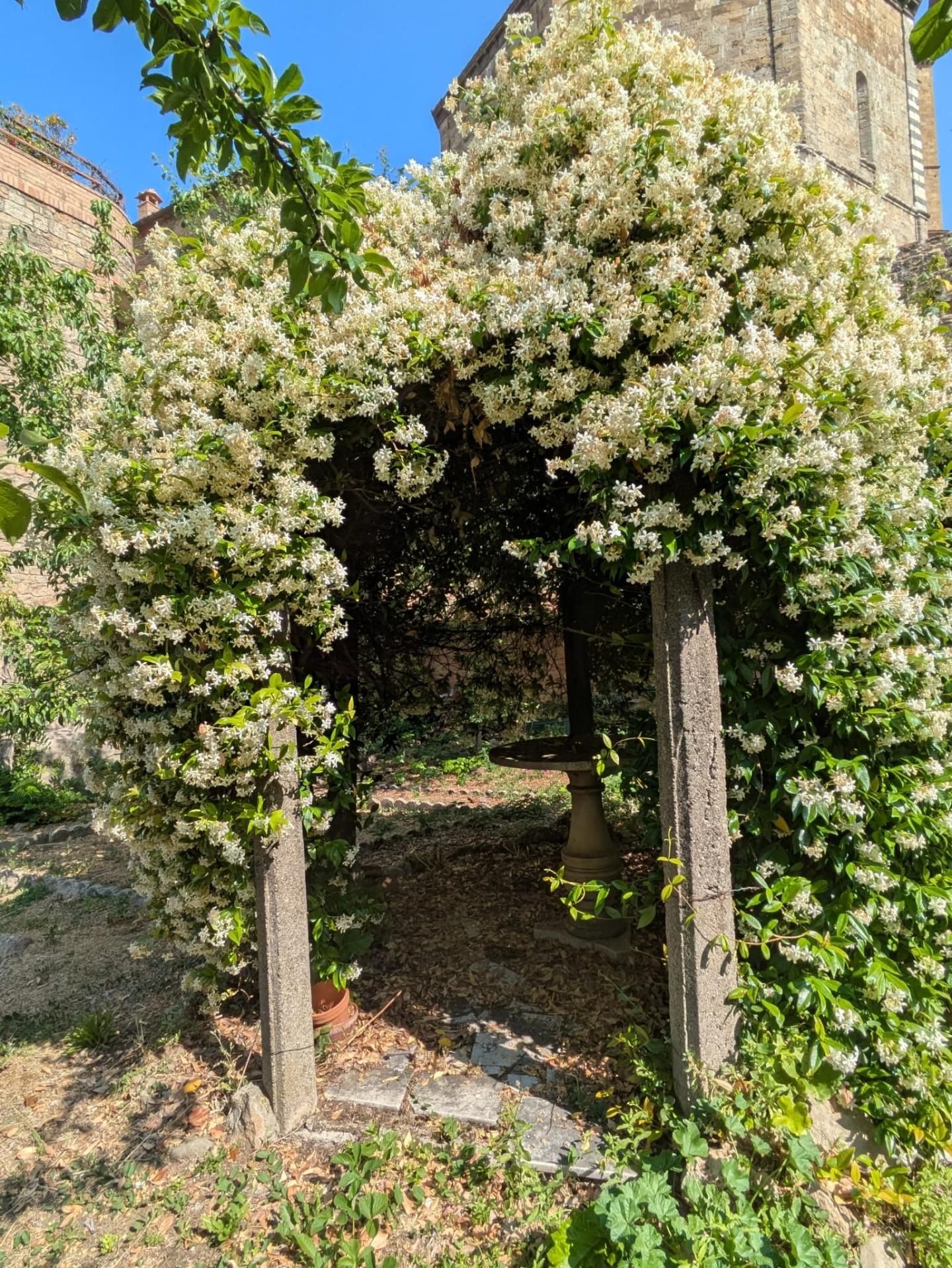 Appartamento con giardino a Volterra