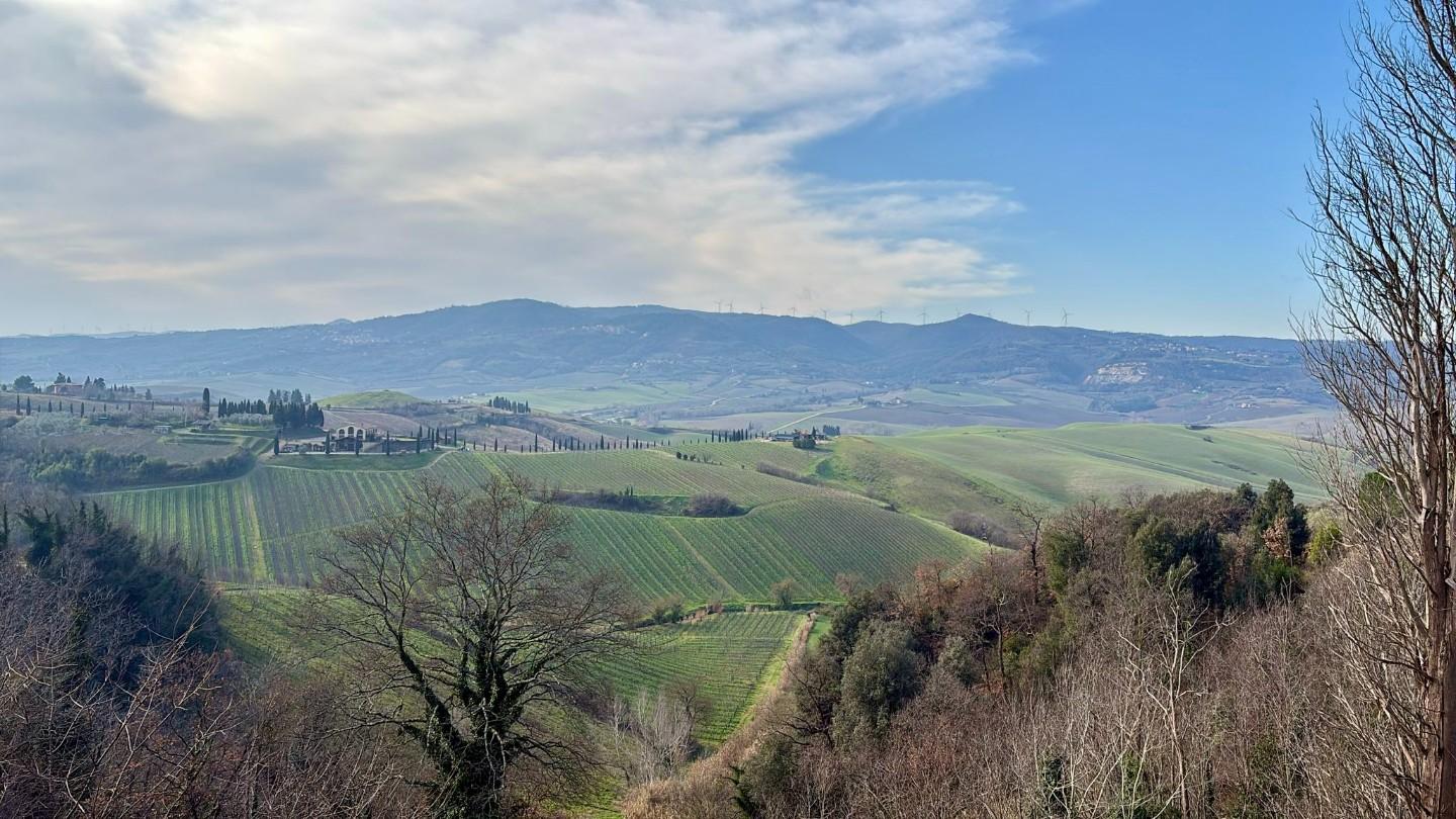 Casa indipendente con giardino a Terricciola