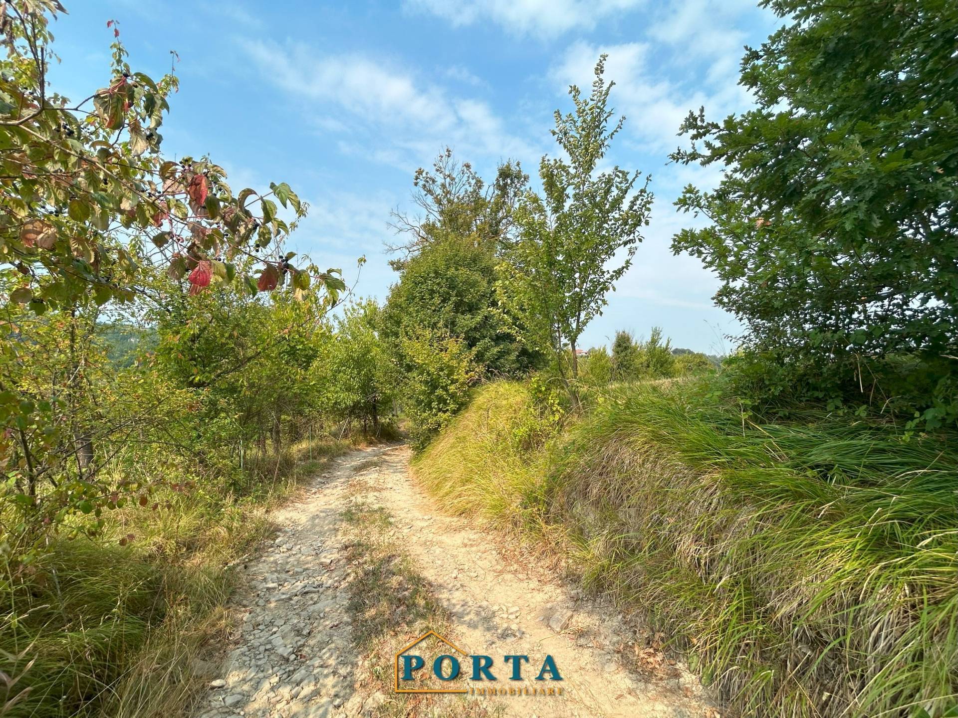 Terreno Agricolo in vendita a Rocca Cigli