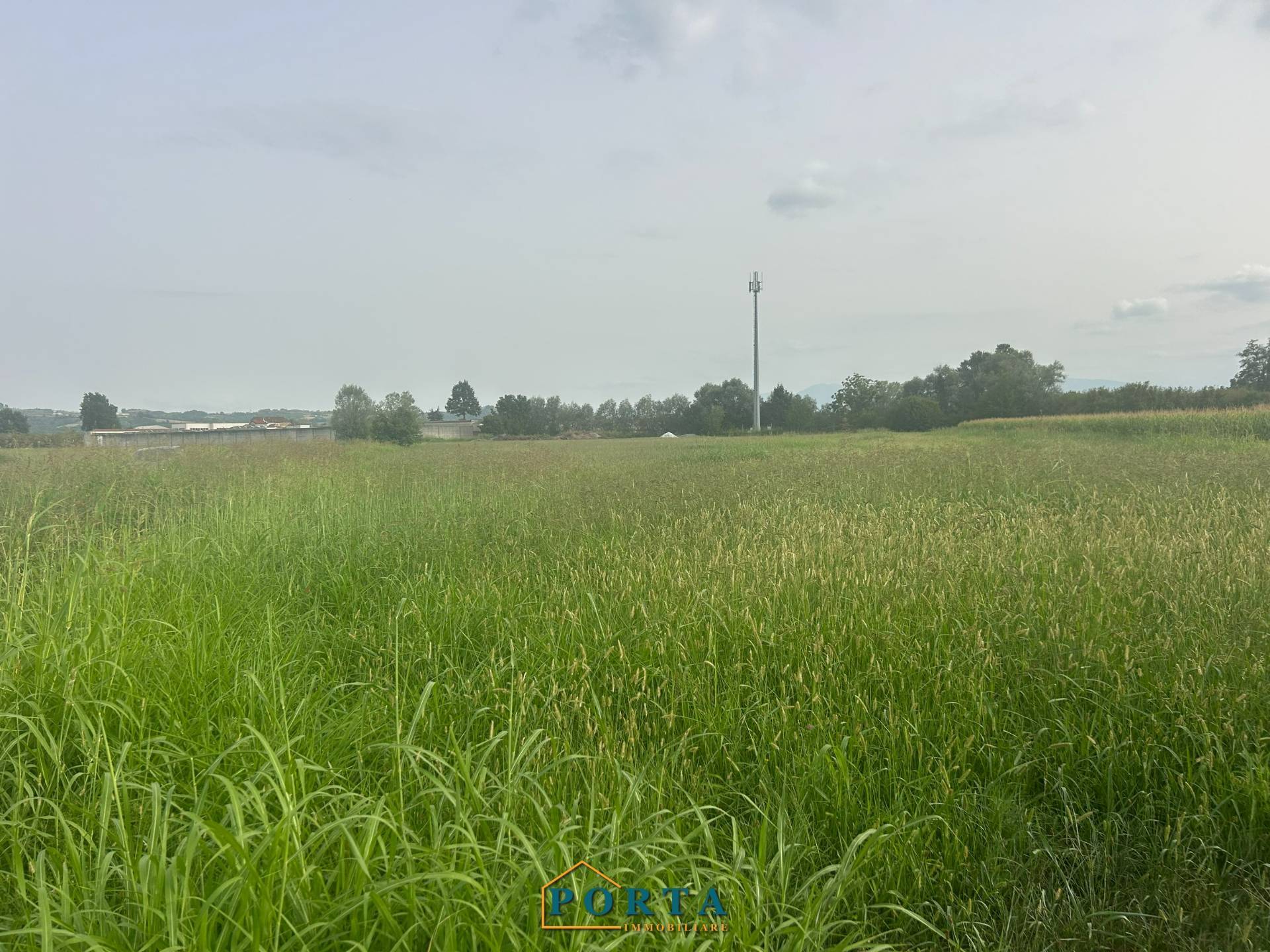 Terreno Agricolo in vendita a Carr