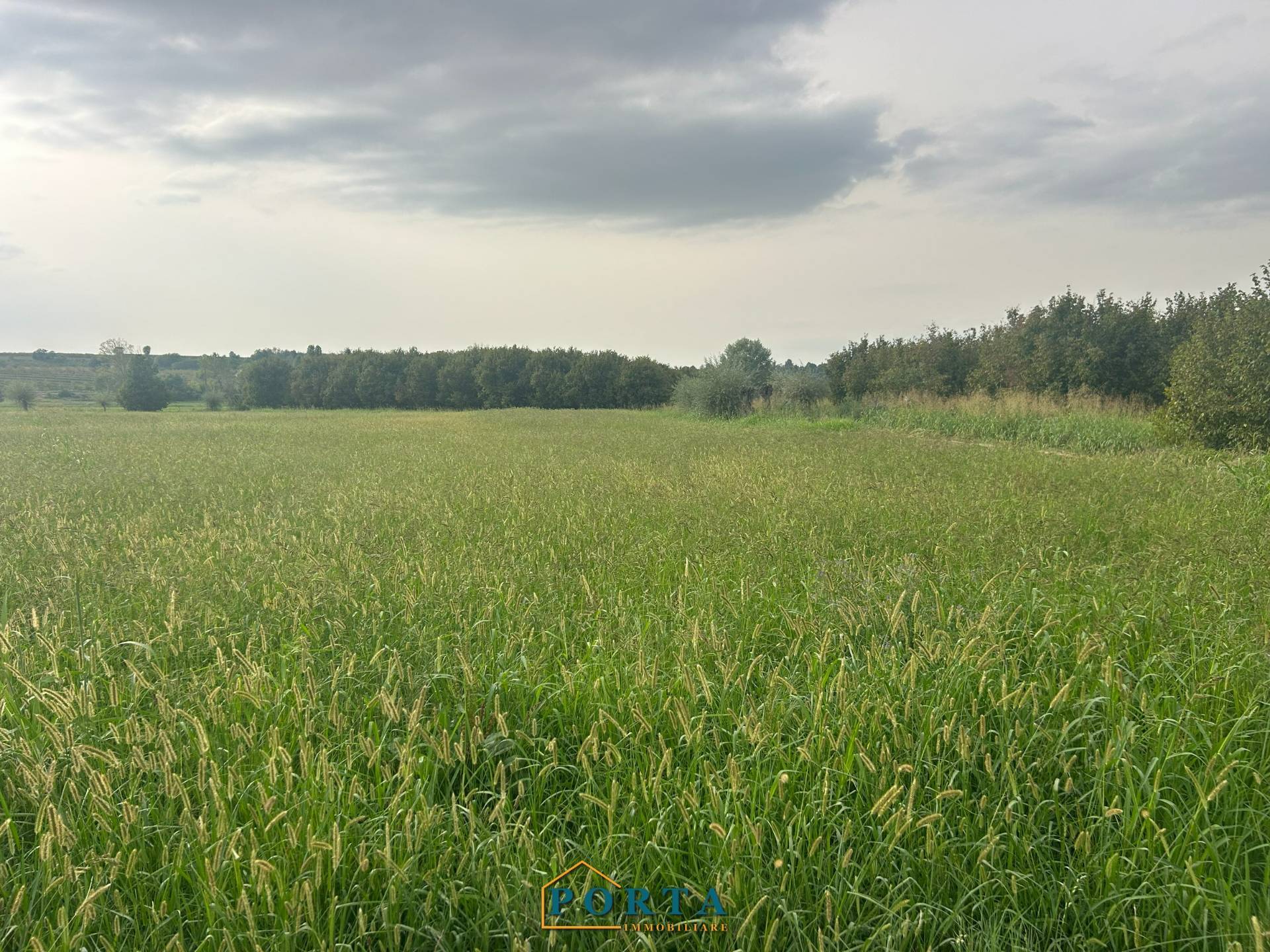 Terreno Agricolo in vendita a Carr