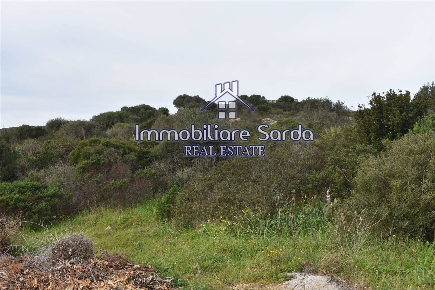 Terreno edificabile in vendita a Santa Teresa Gallura, Porto Pozzo