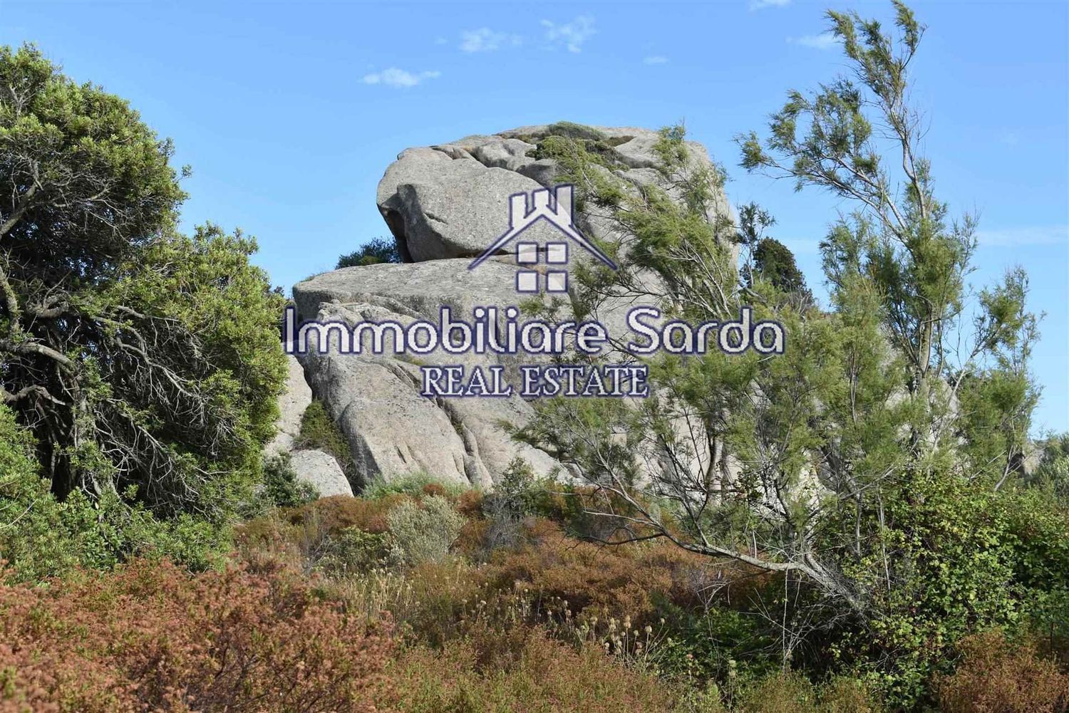 Terreno Agricolo in vendita a Arzachena