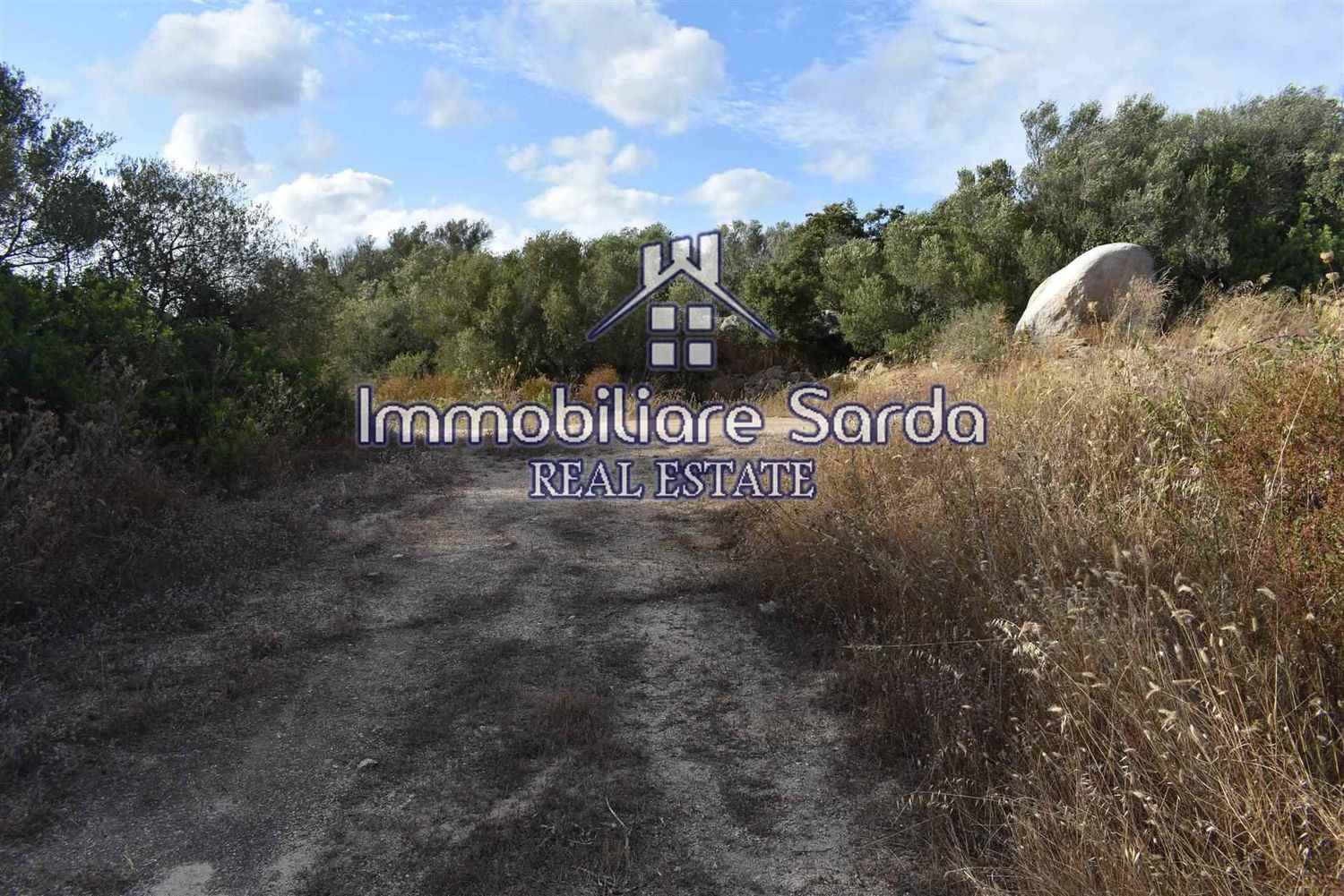 Terreno Agricolo in vendita a Arzachena