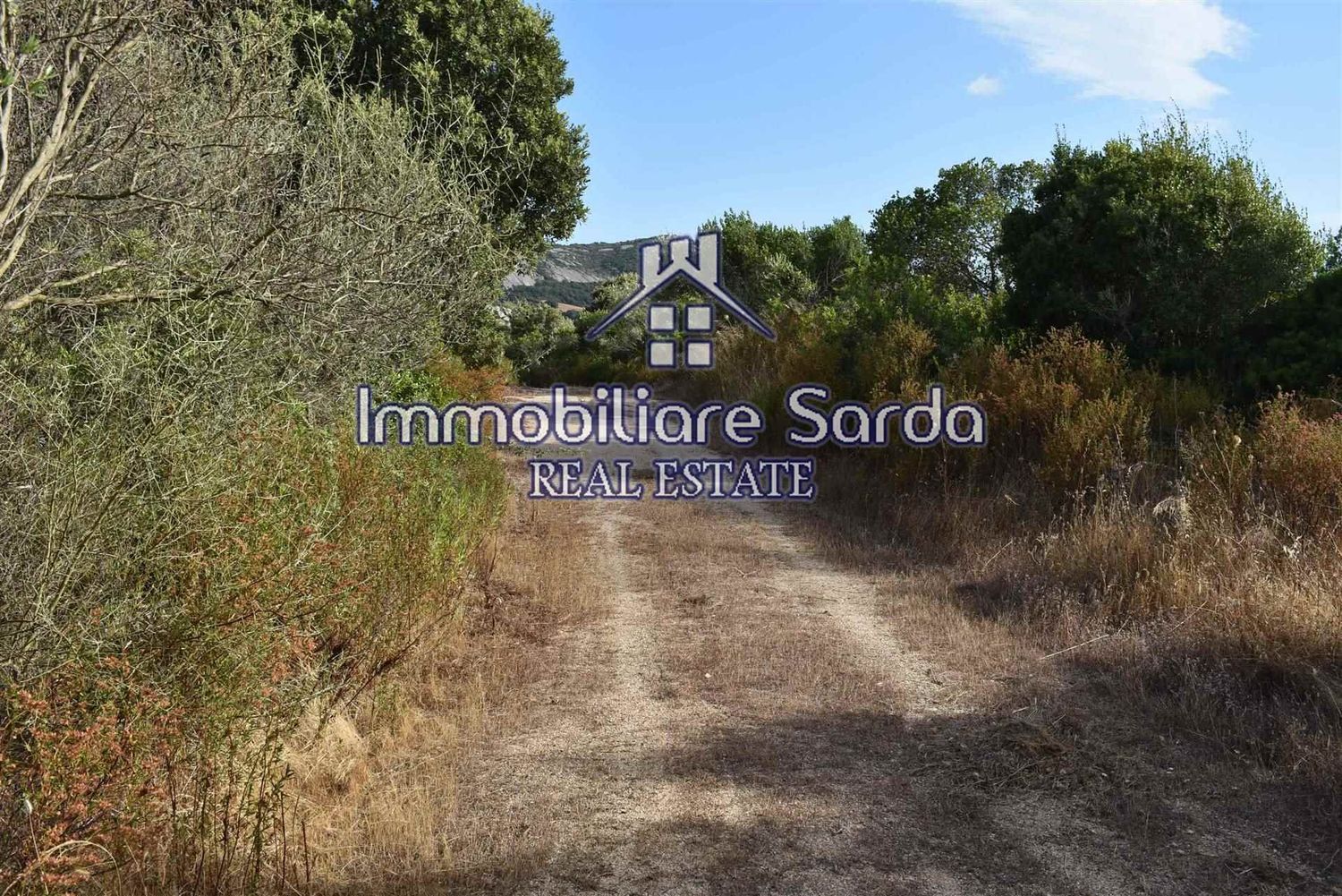 Terreno Agricolo in vendita a Arzachena