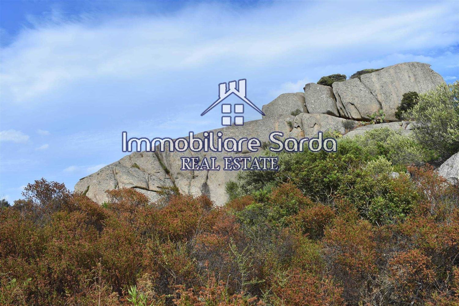 Terreno Agricolo in vendita a Arzachena