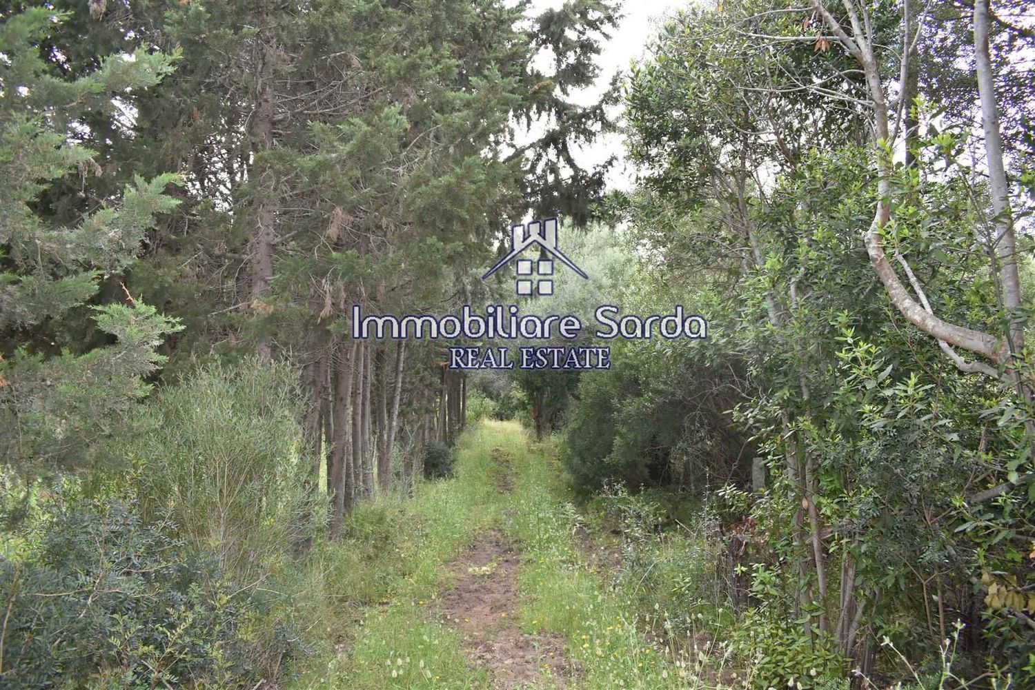 Rustico in vendita a Palau