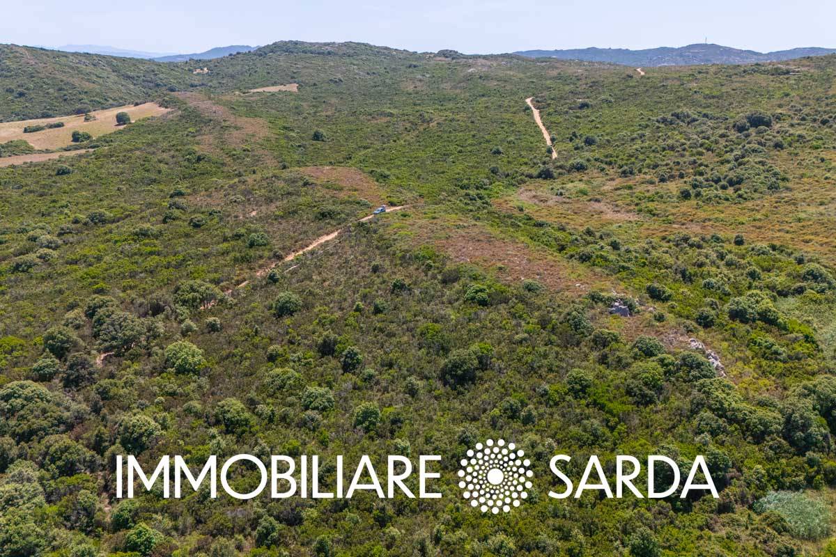 Terreno Agricolo in vendita a Santa Teresa Gallura, Valle dell'Erica