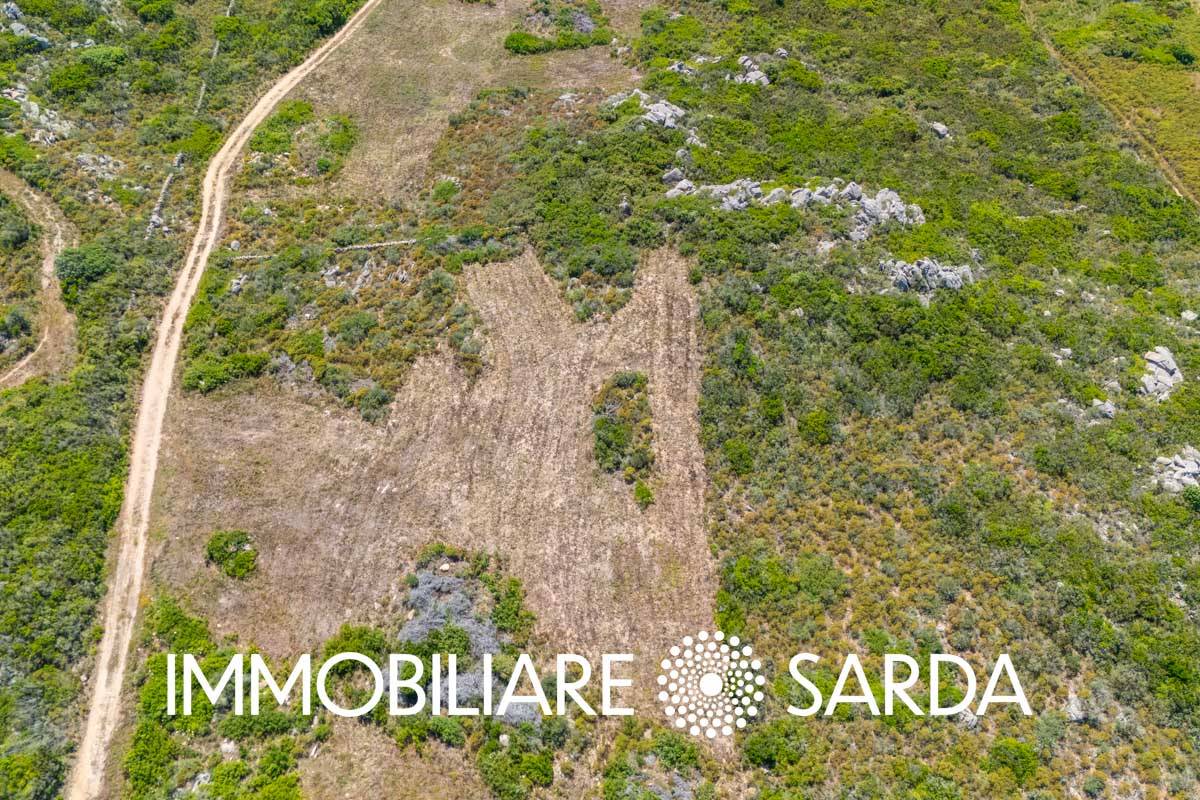 Terreno Agricolo in vendita a Santa Teresa Gallura, Valle dell'Erica