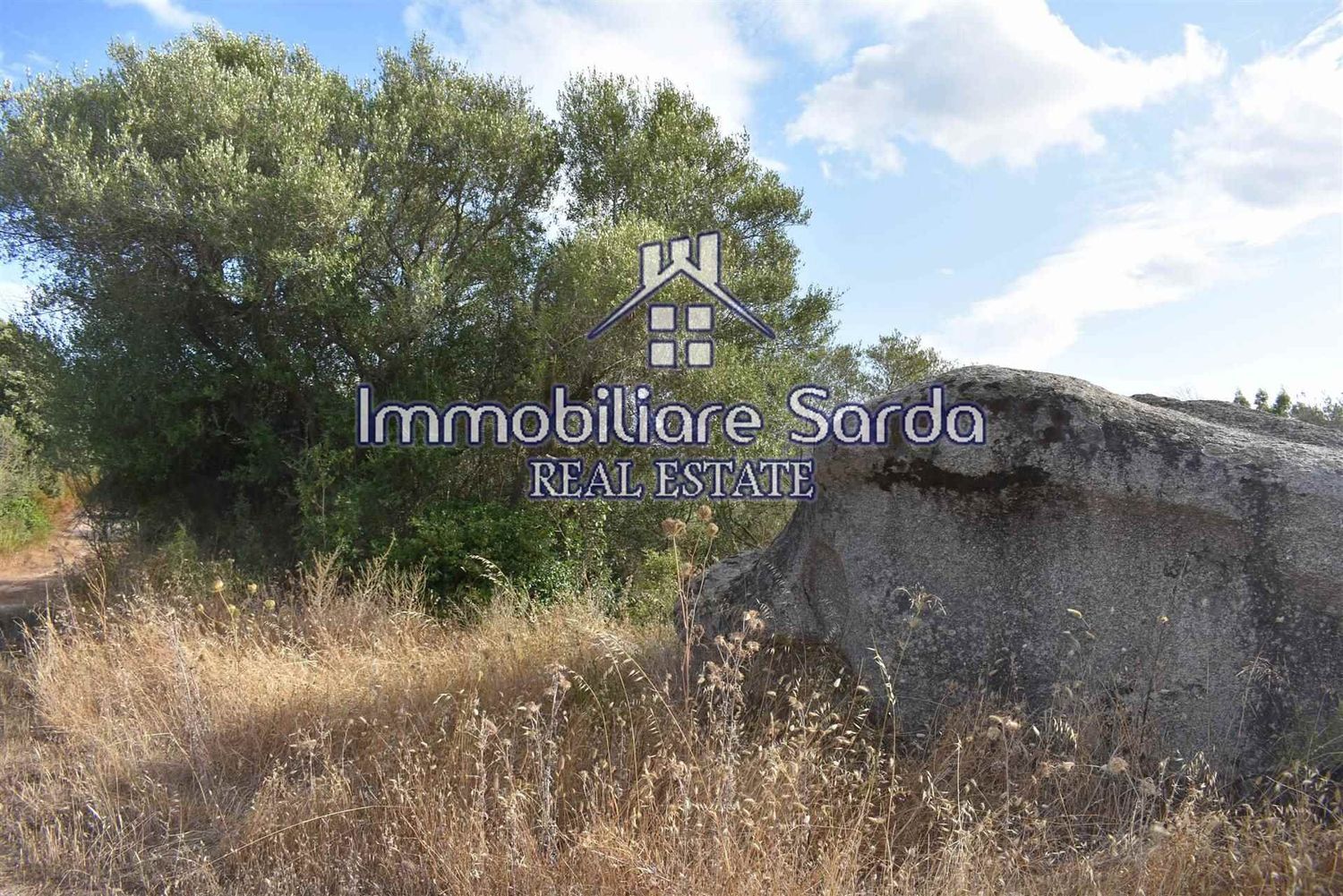 Terreno Agricolo in vendita a Arzachena