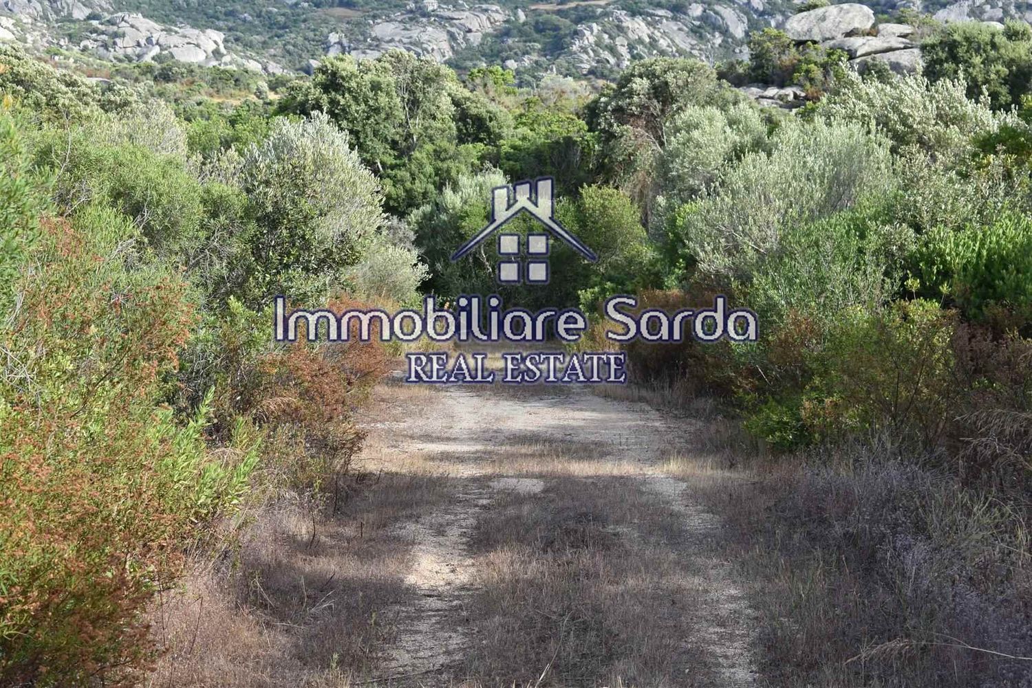 Terreno Agricolo in vendita a Arzachena