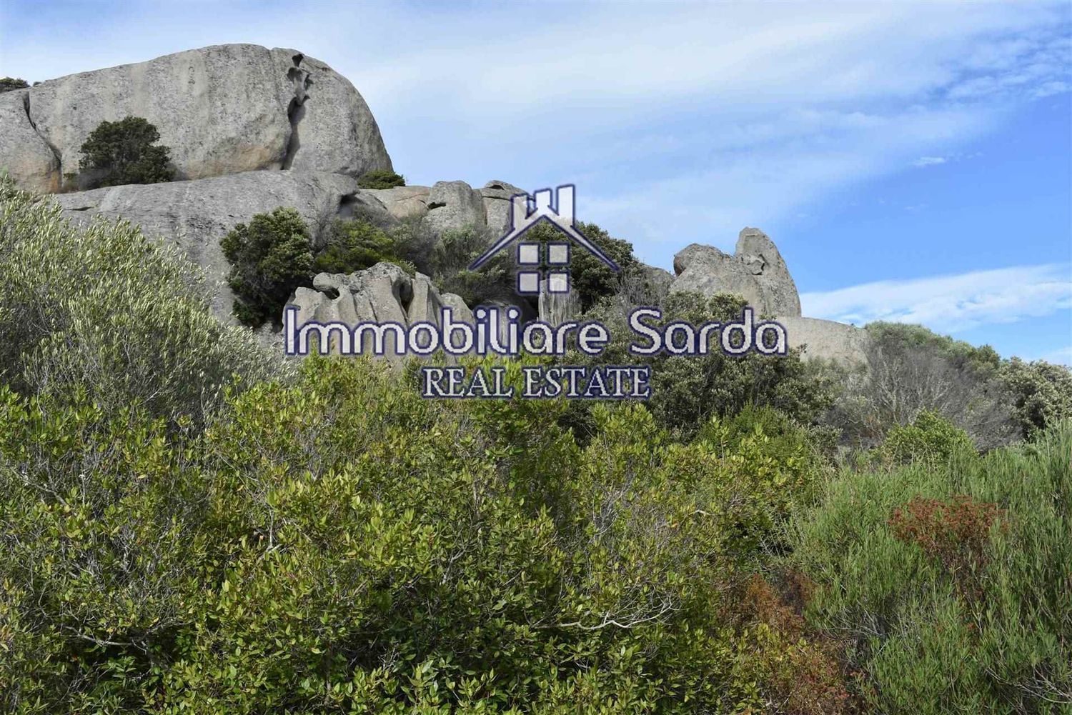 Terreno Agricolo in vendita a Arzachena