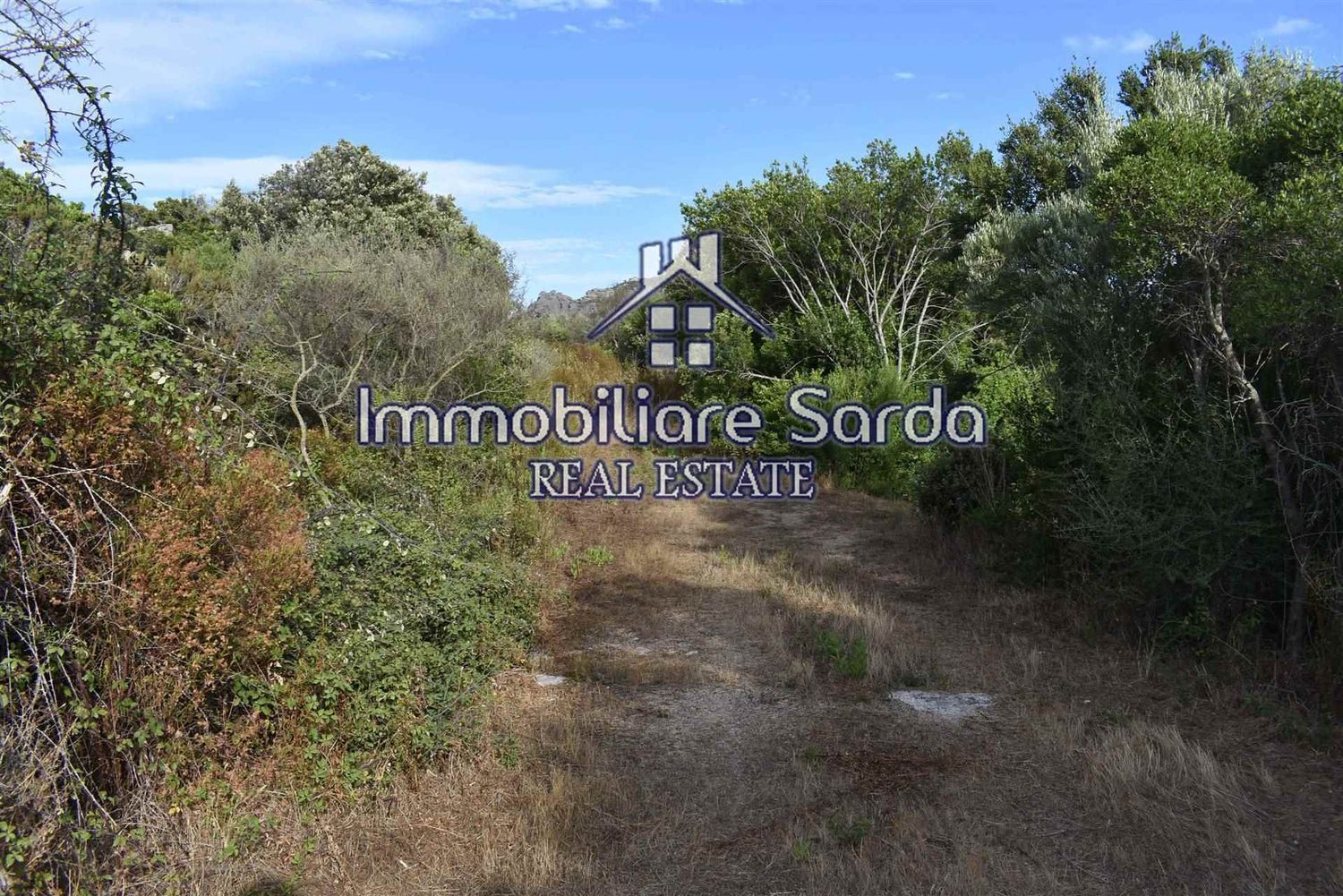 Terreno Agricolo in vendita a Arzachena