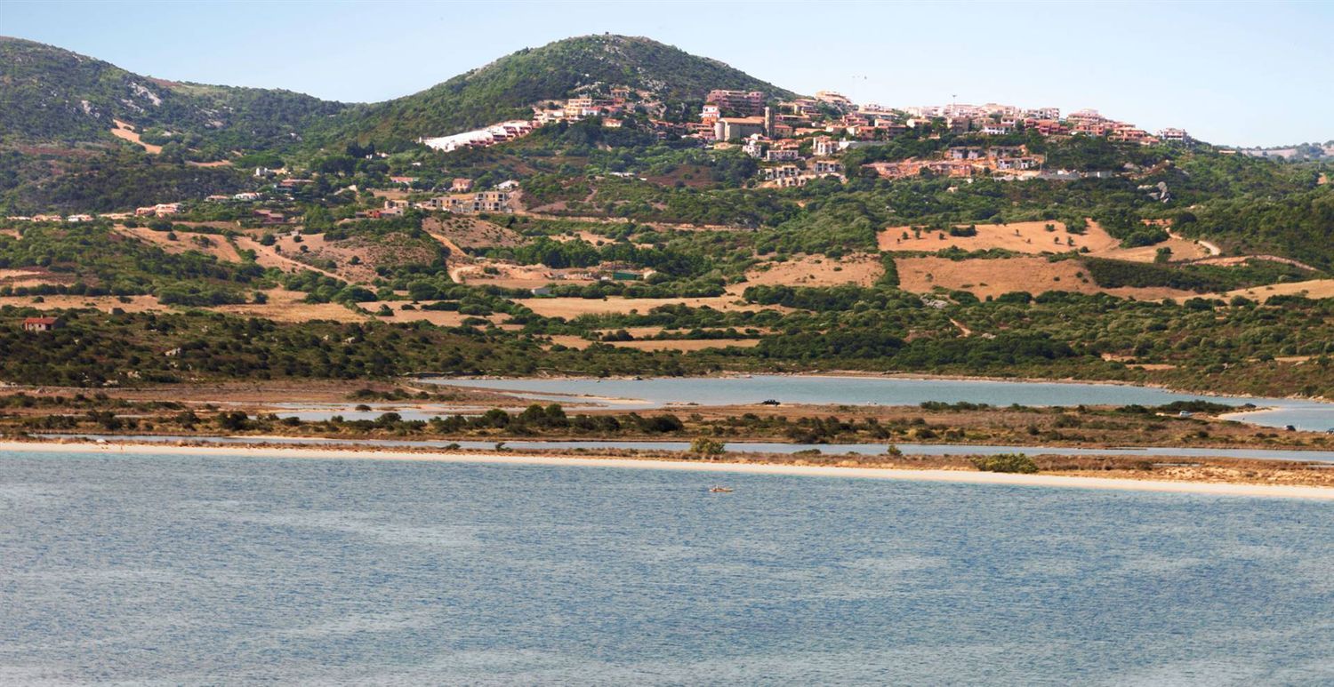 immagine annuncio 4 di 8