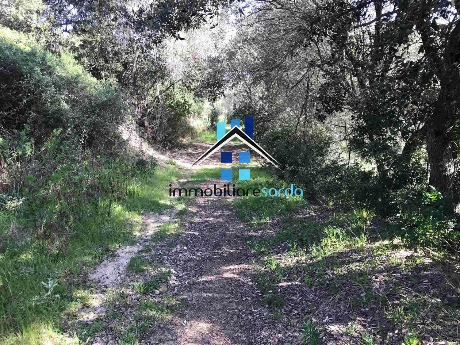 Rustico in vendita a Arzachena