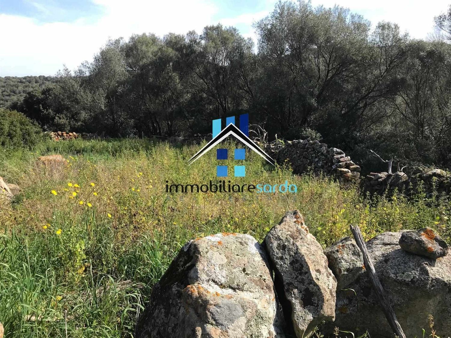 Rustico in vendita a Arzachena