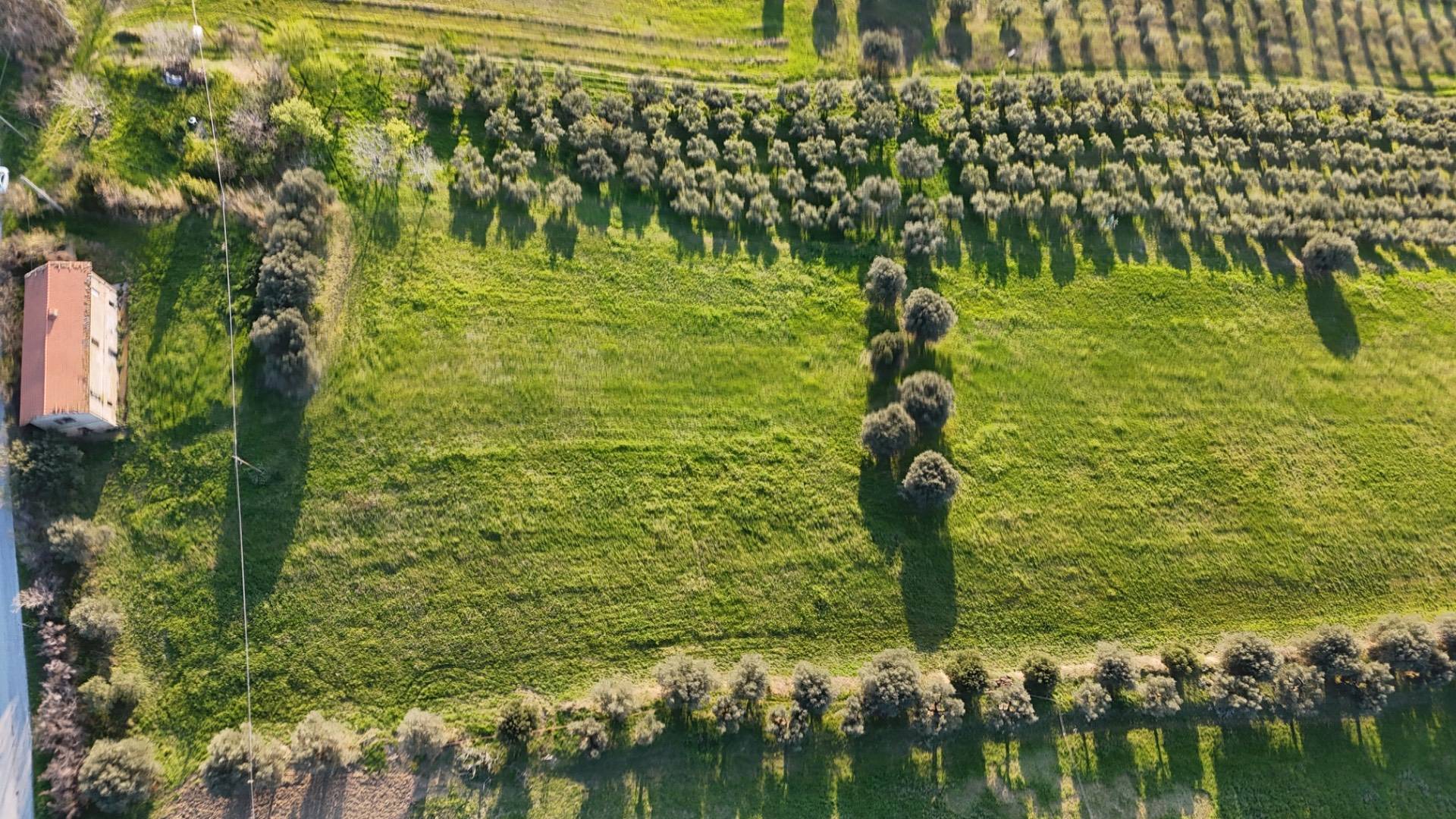 Casa singola in vendita a Morro d'Oro