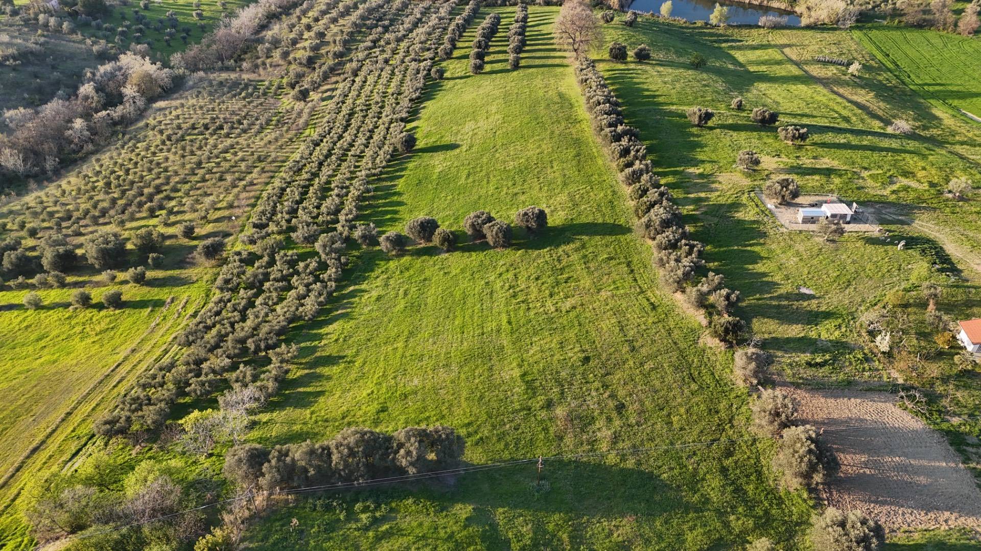 Casa singola in vendita a Morro d'Oro