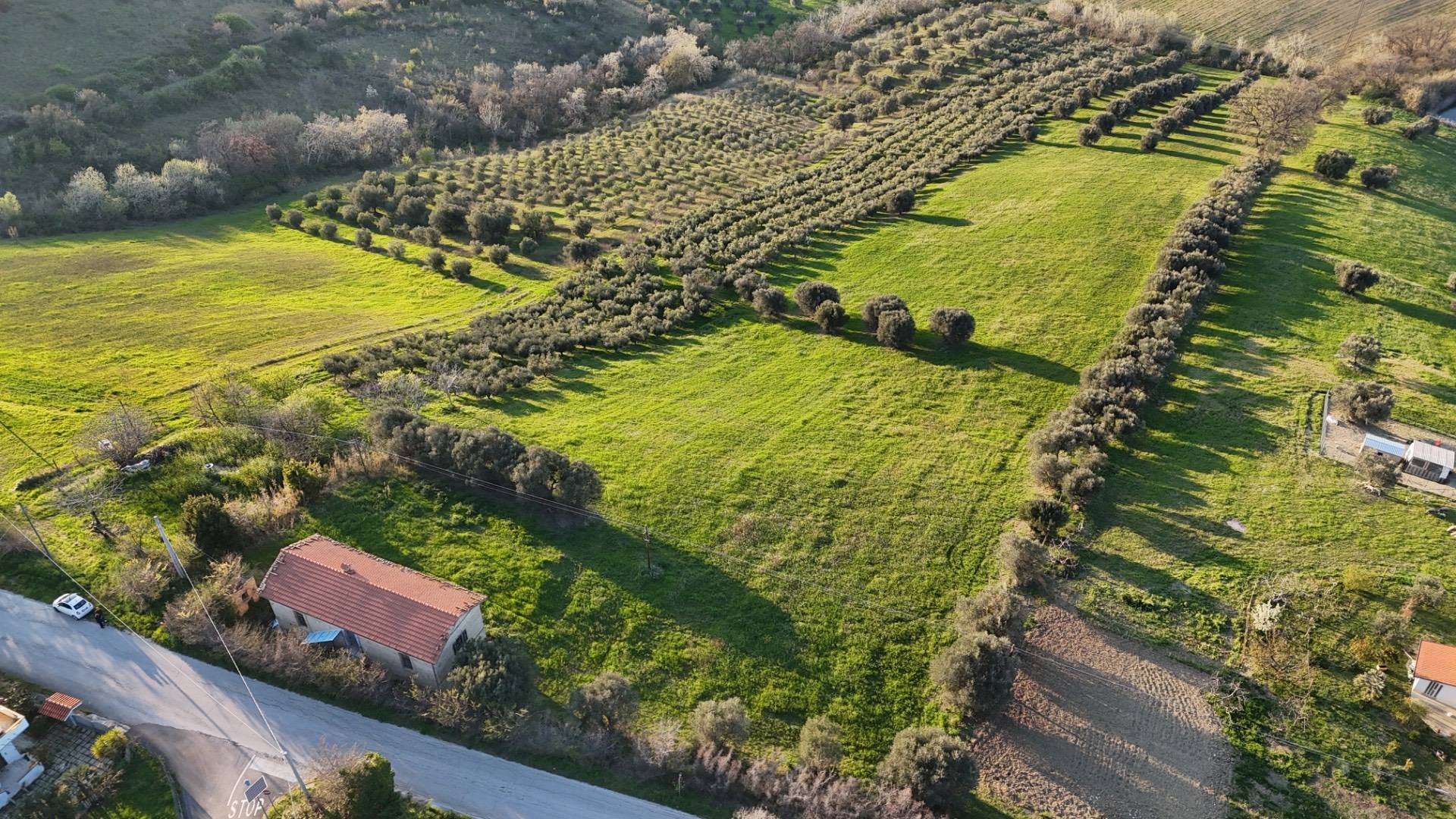 Casa singola in vendita a Morro d'Oro