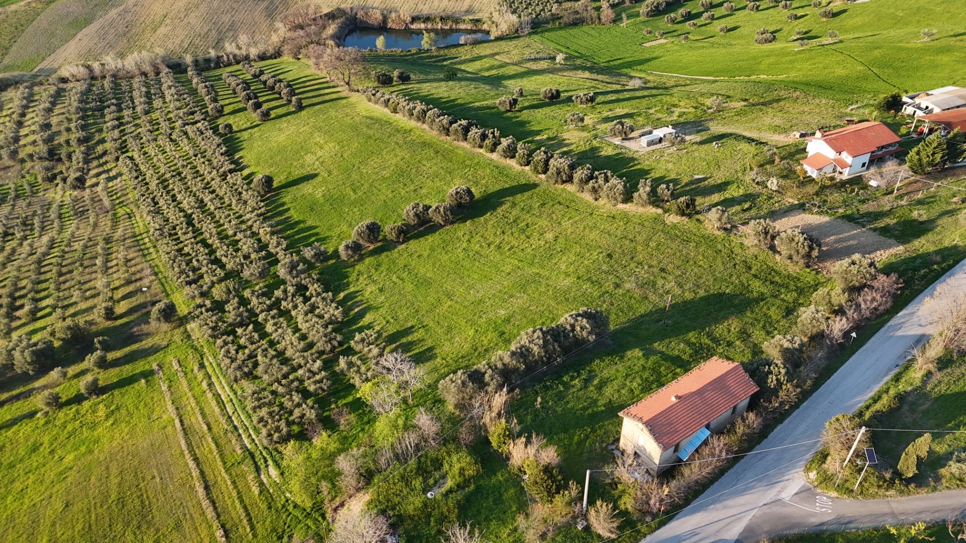 Casa singola in vendita a Morro d'Oro