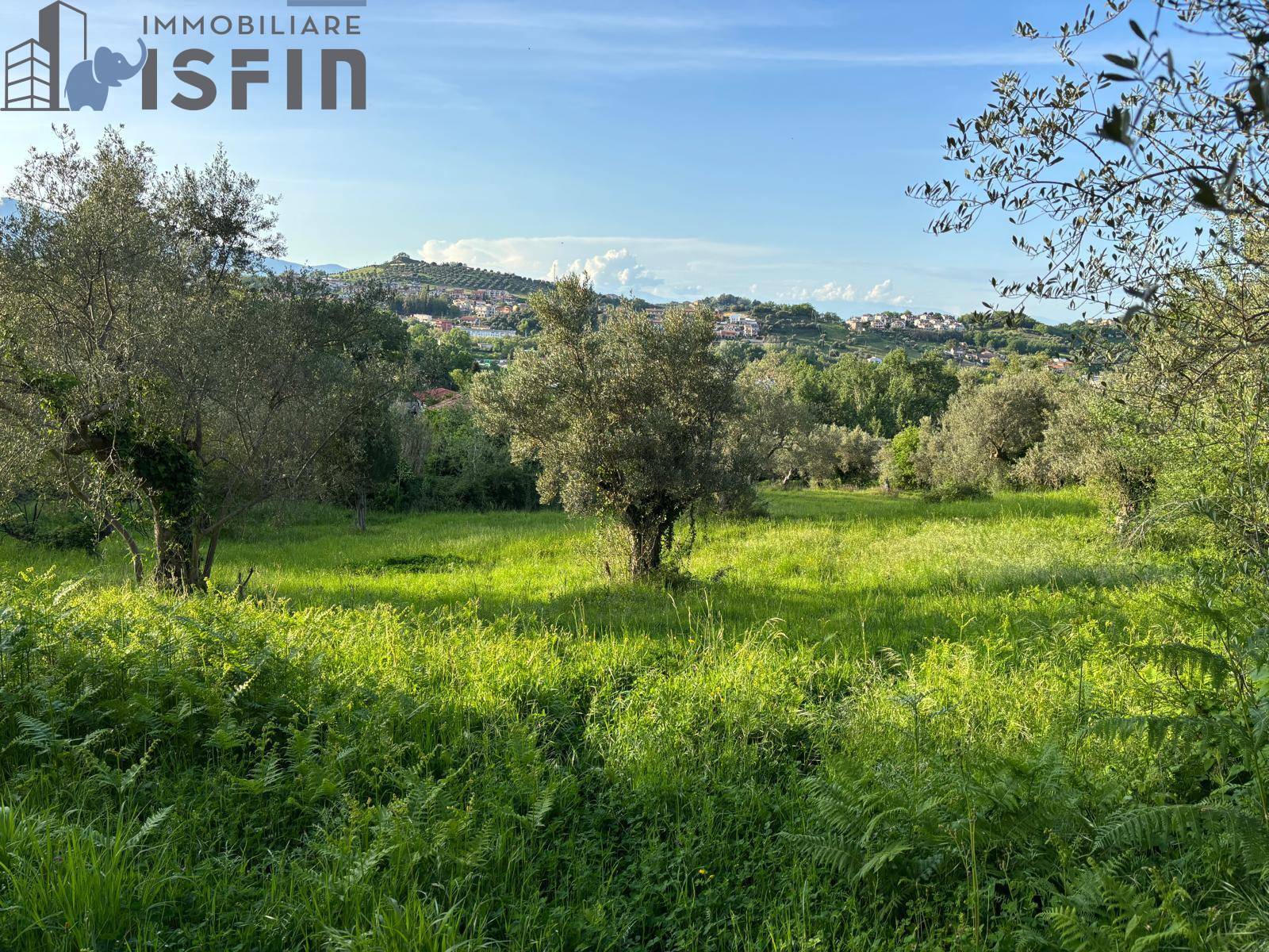 Terreno Agricolo in vendita a Rende, C.da Cutura/Ex Stazione FS