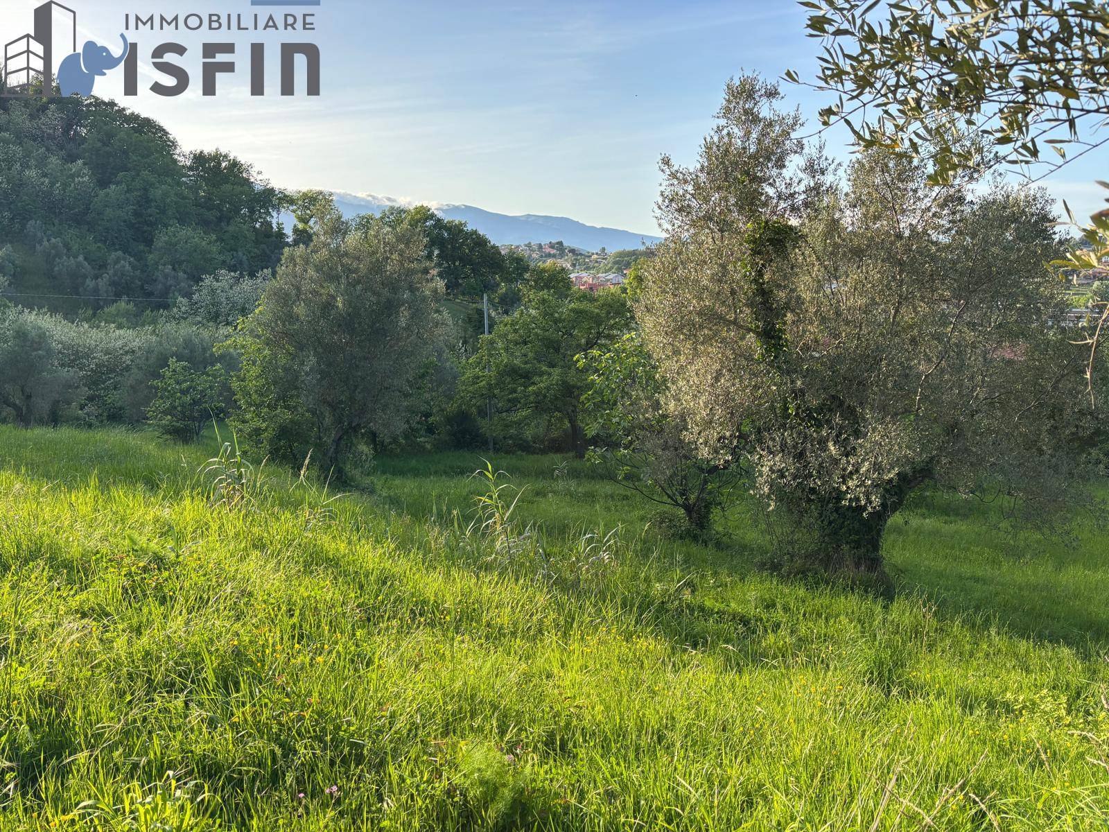 Terreno Agricolo in vendita a Rende, C.da Cutura/Ex Stazione FS