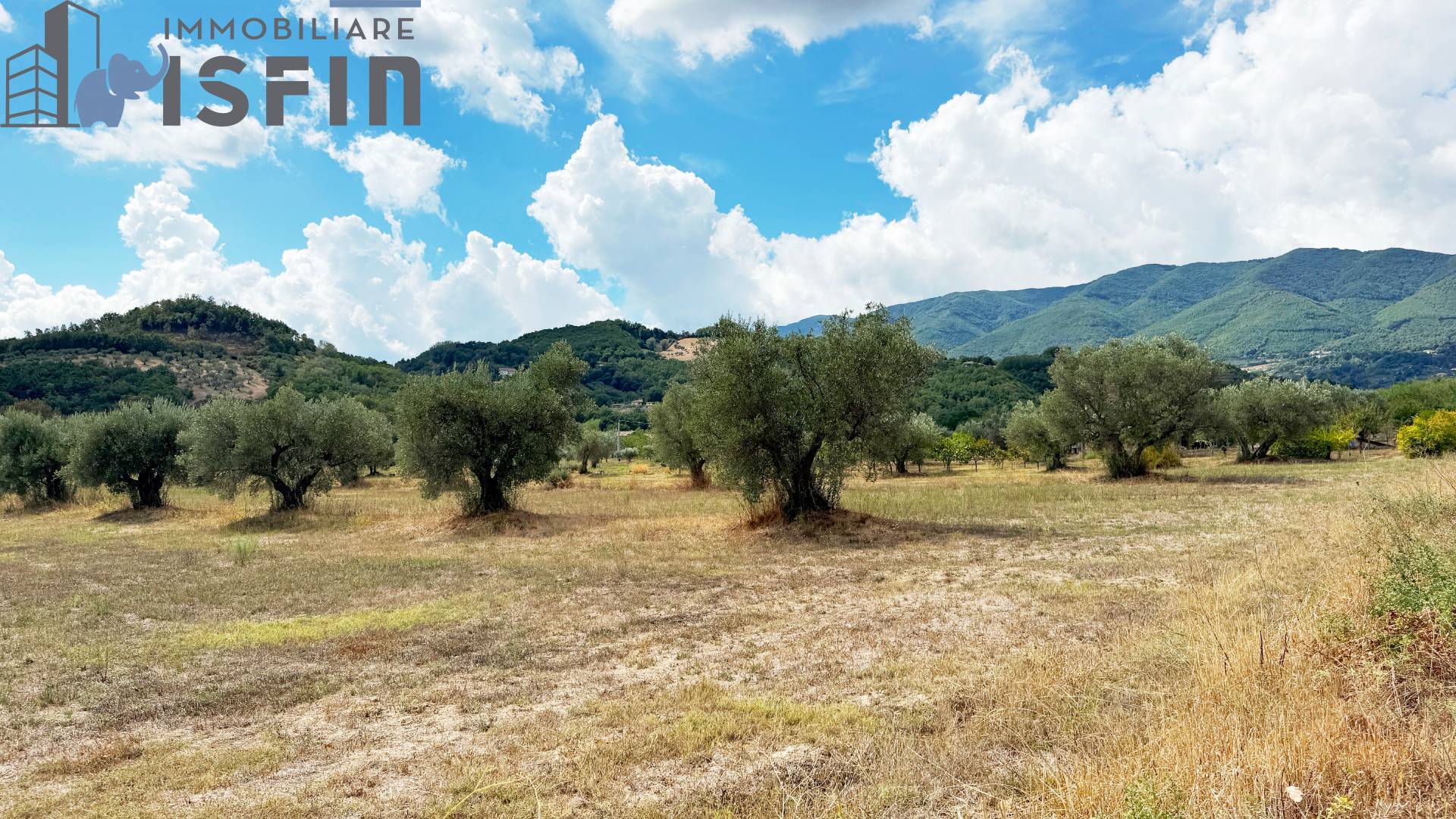Terreno Agricolo in vendita a Montalto Uffugo, Centro Storico