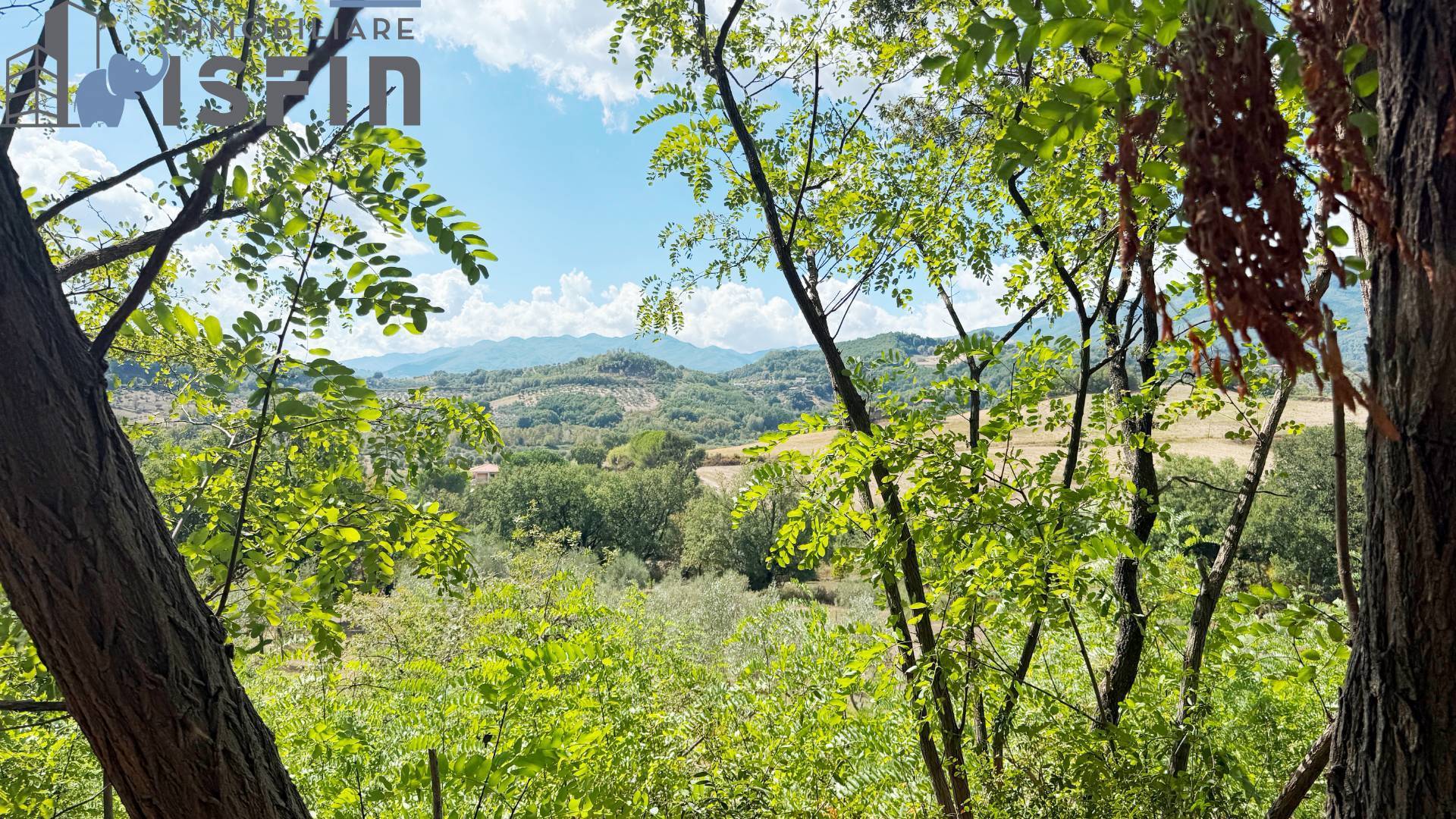 Terreno Agricolo in vendita a Montalto Uffugo, Centro Storico