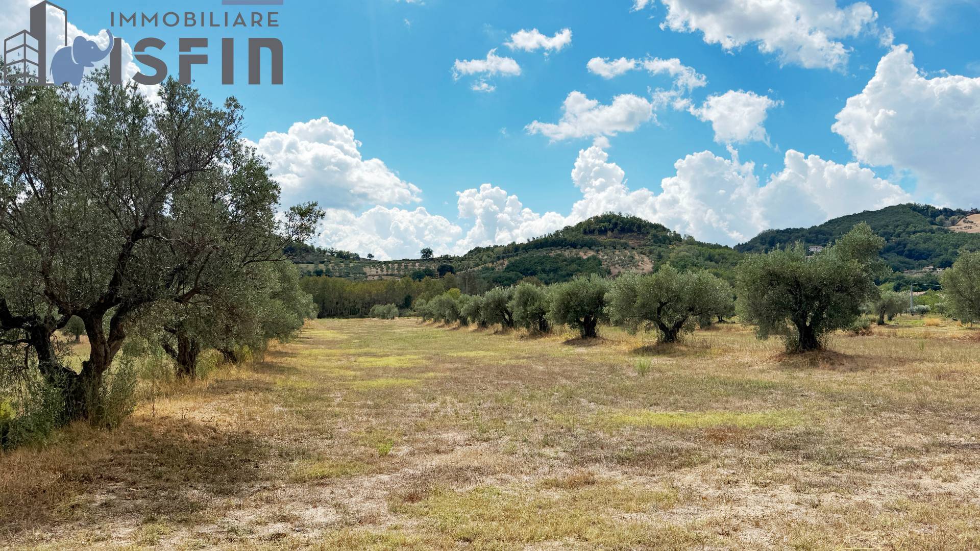 Terreno Agricolo in vendita a Montalto Uffugo, Centro Storico