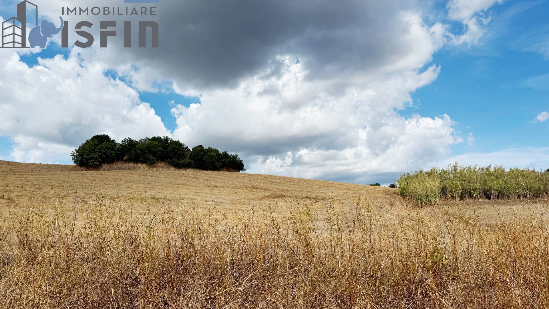 Terreno Agricolo in vendita a Montalto Uffugo, Centro Storico
