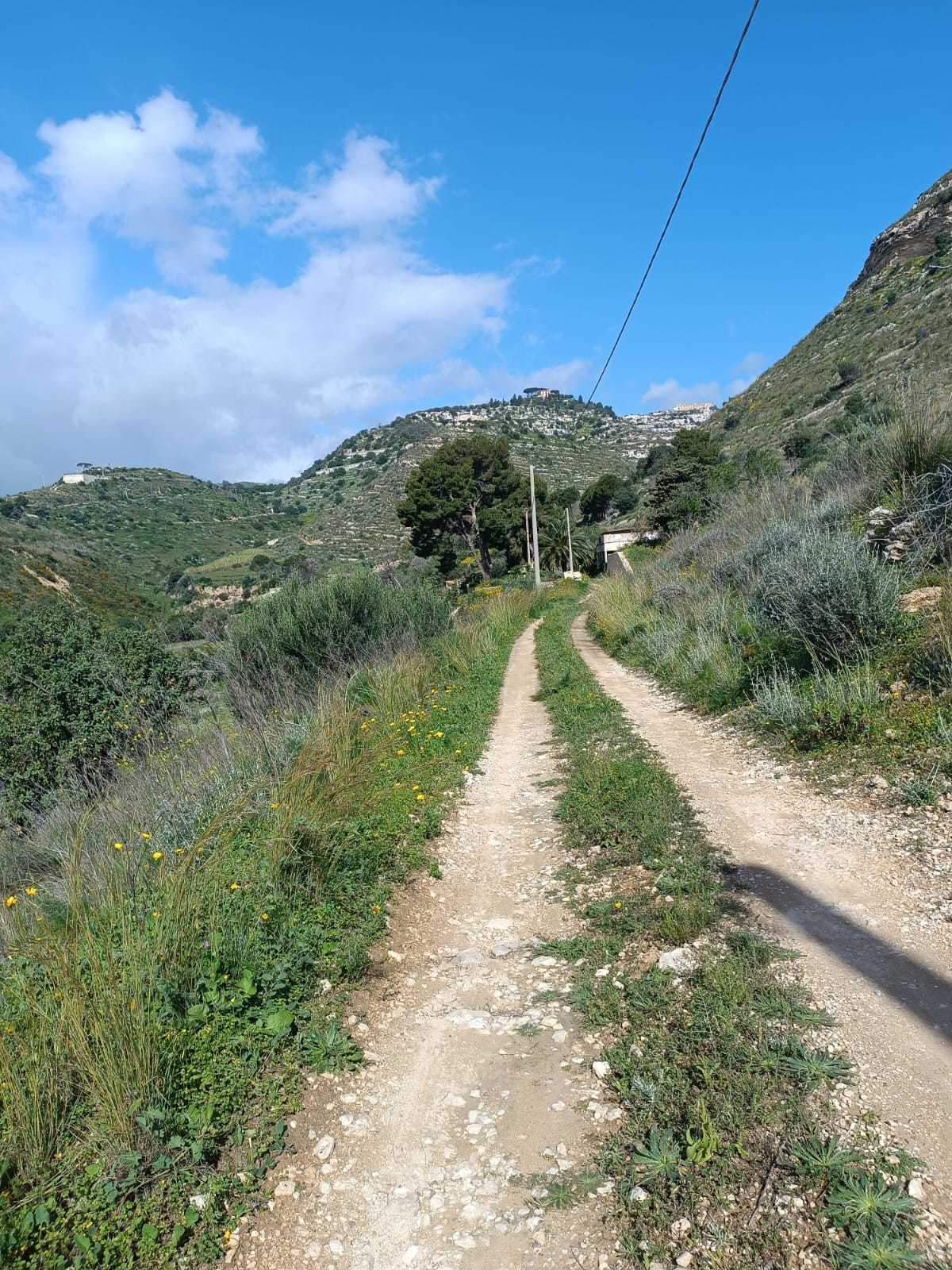 Terreno Agricolo in vendita, Avola antica
