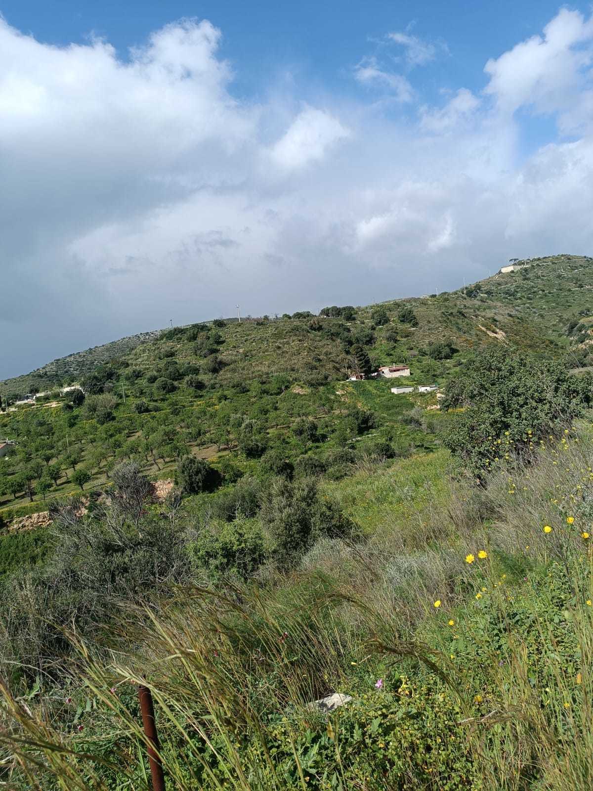 immagine annuncio 5 di 6