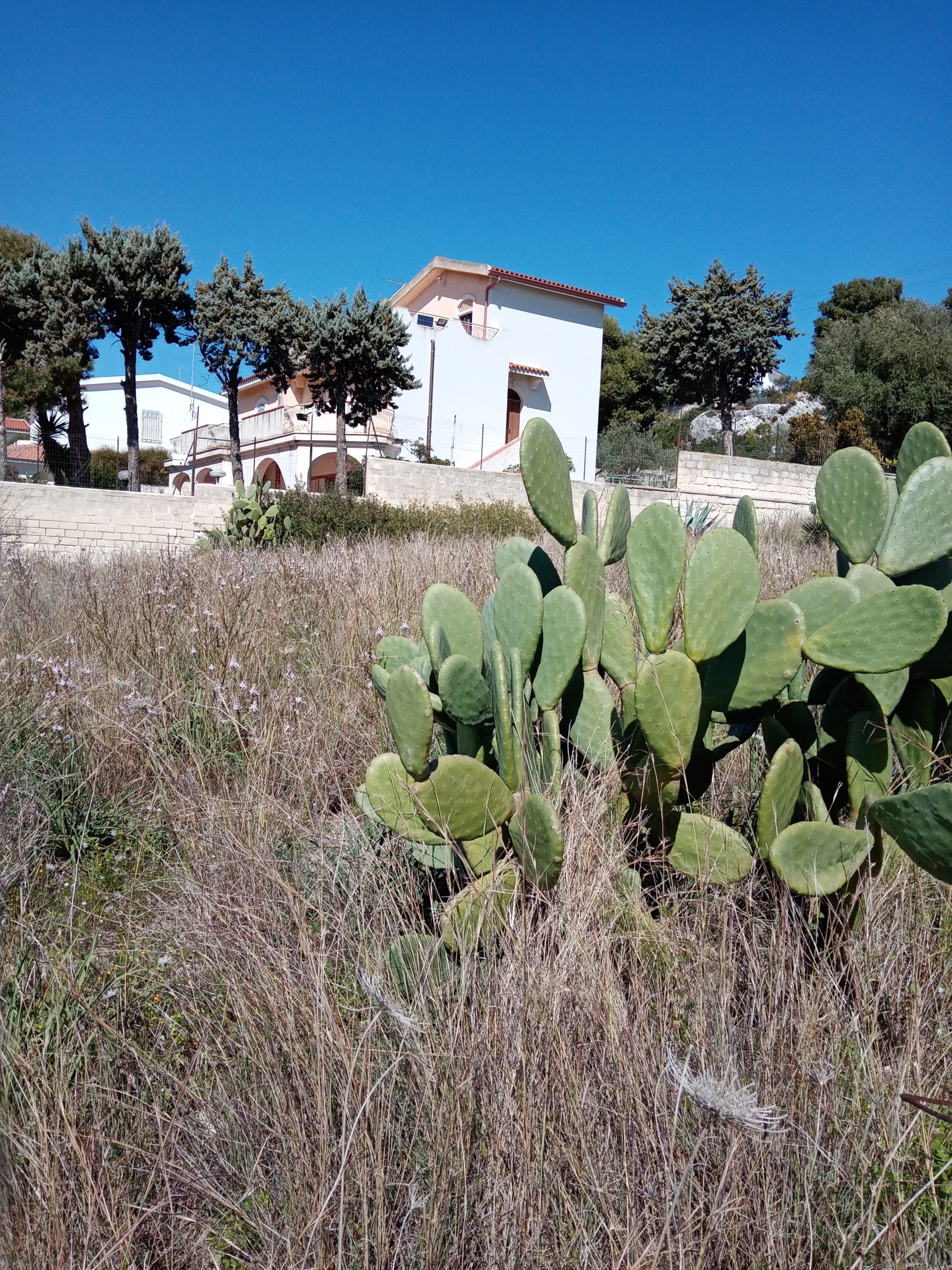 Terreno Agricolo in vendita, Siracusa arenella-plemmirio