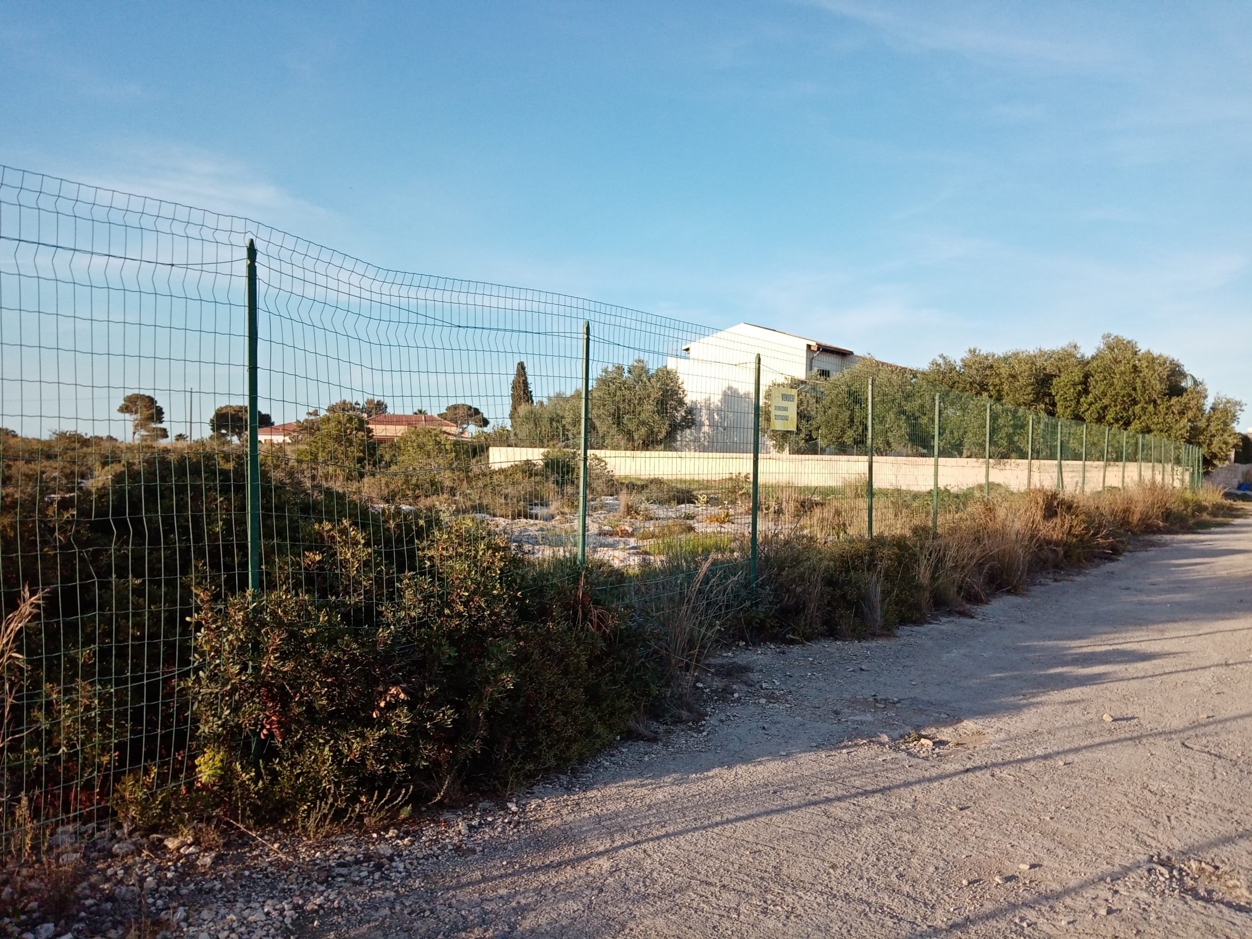 Terreno Agricolo in vendita a Siracusa