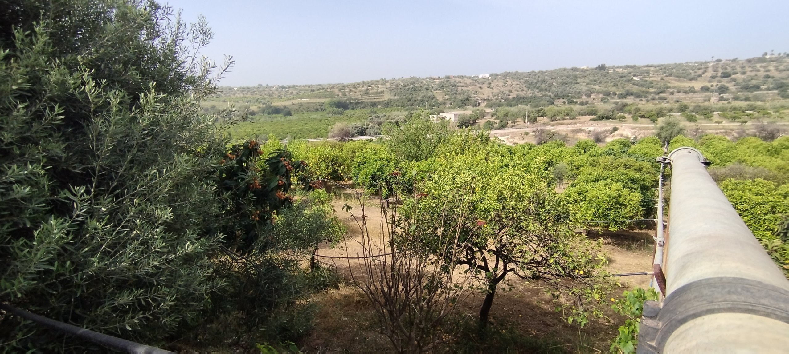 Terreno Agricolo in vendita a Siracusa