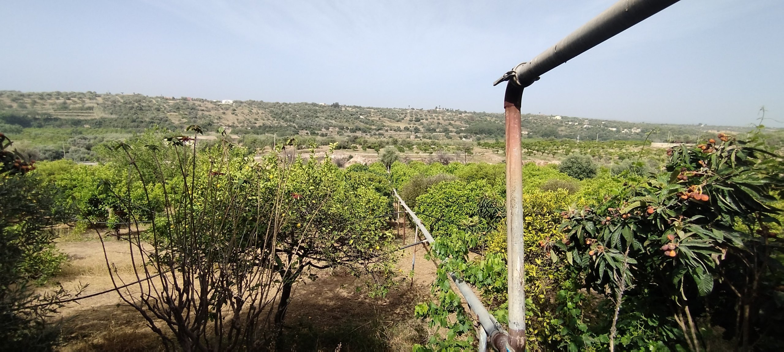 Terreno Agricolo in vendita a Siracusa