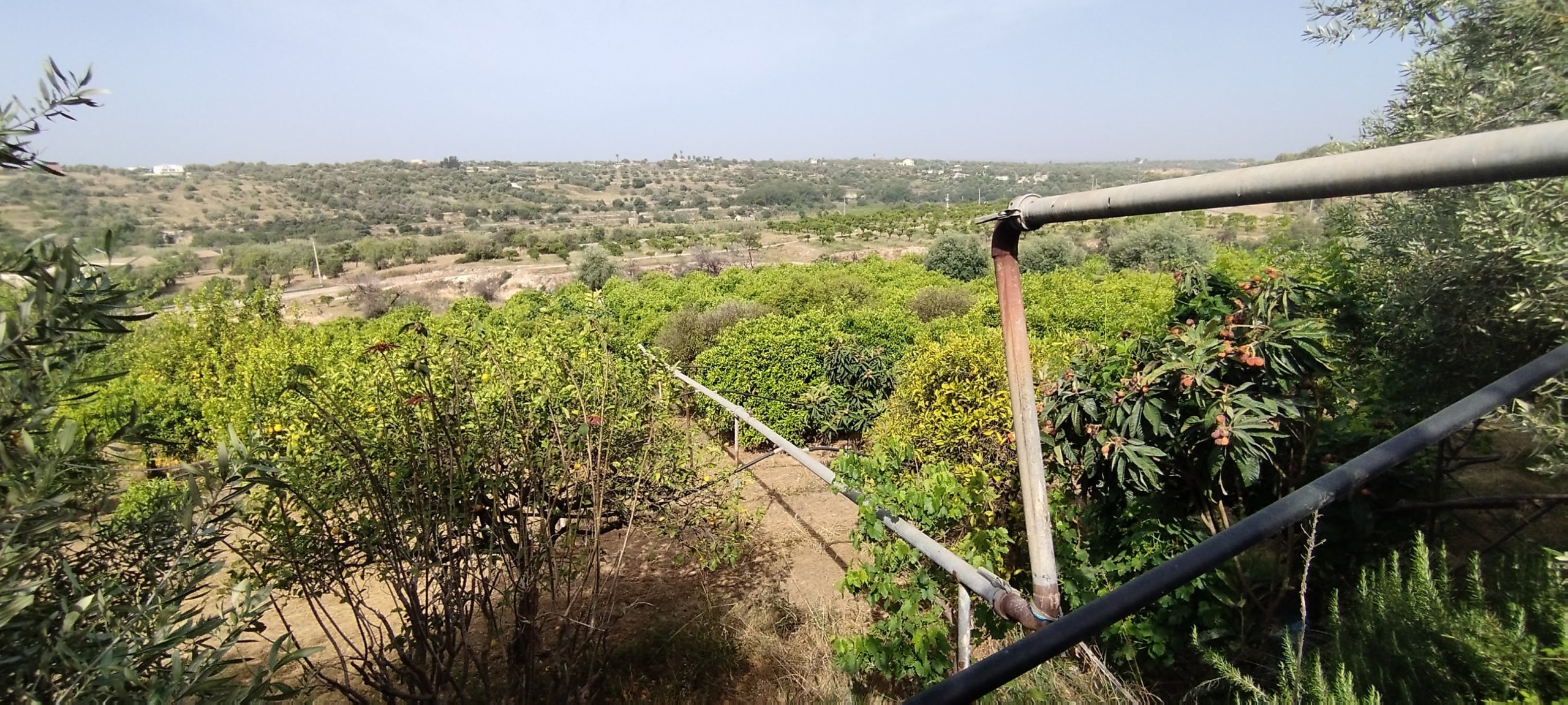 Terreno Agricolo in vendita a Siracusa