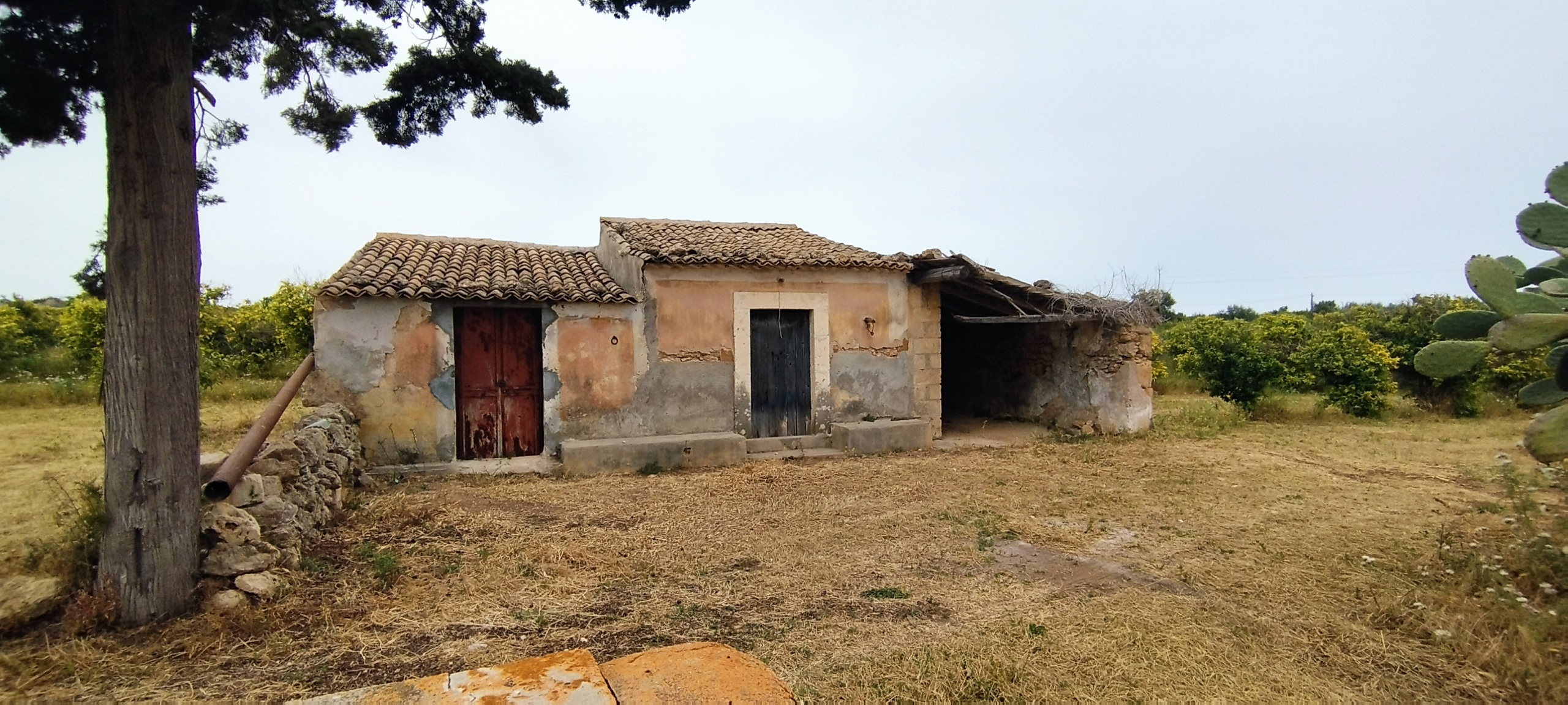 Terreno Agricolo in vendita in contrada falconara, Noto
