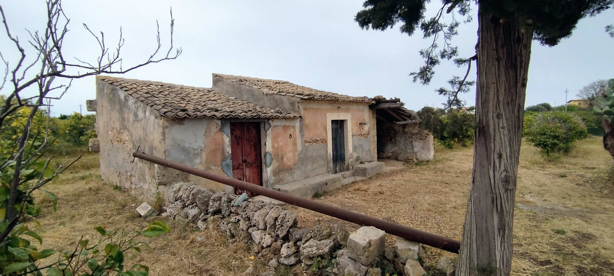 Terreno Agricolo in vendita in contrada falconara, Noto
