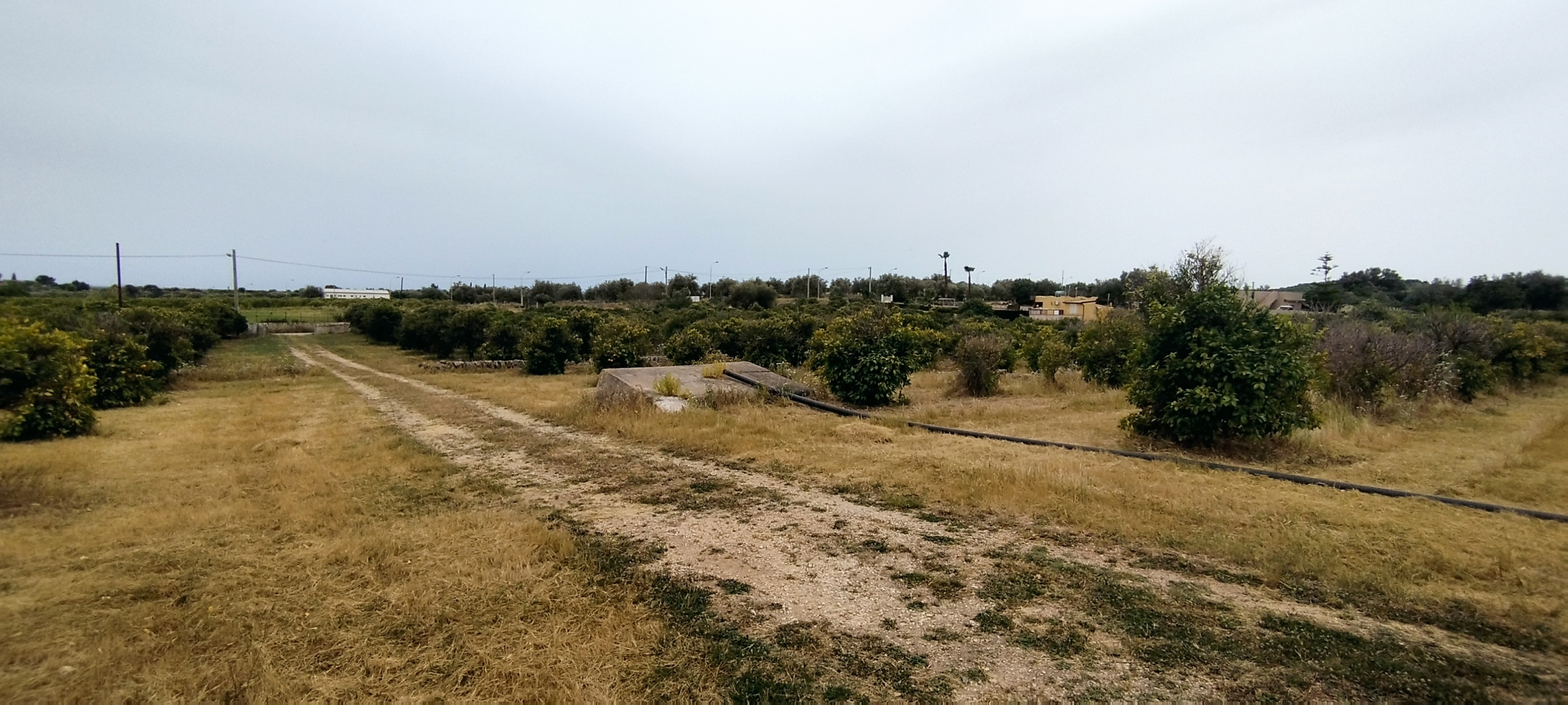 Terreno Agricolo in vendita in contrada falconara, Noto