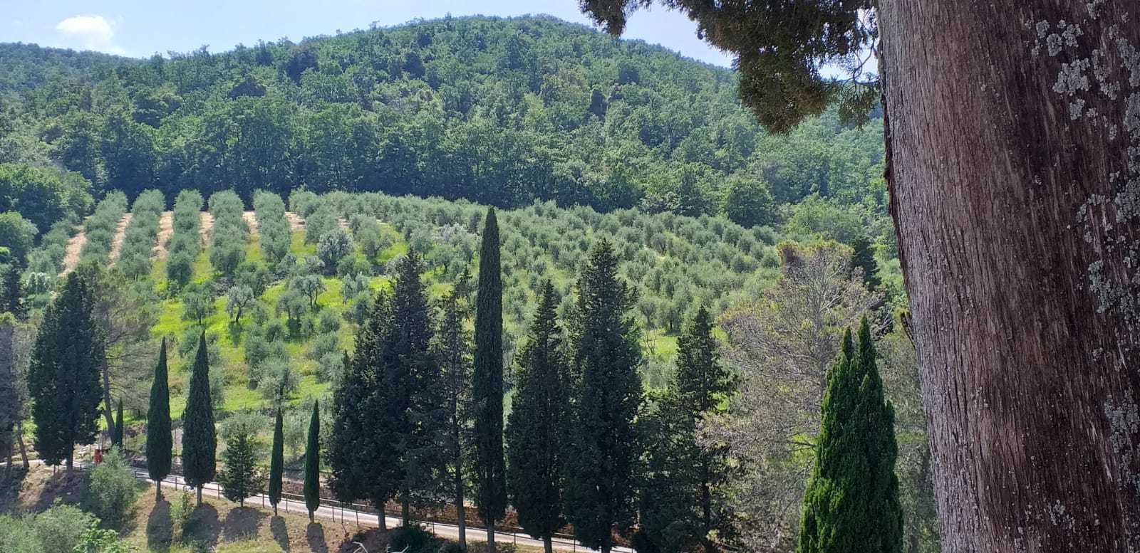 Villa in vendita in via san giusto, Livorno