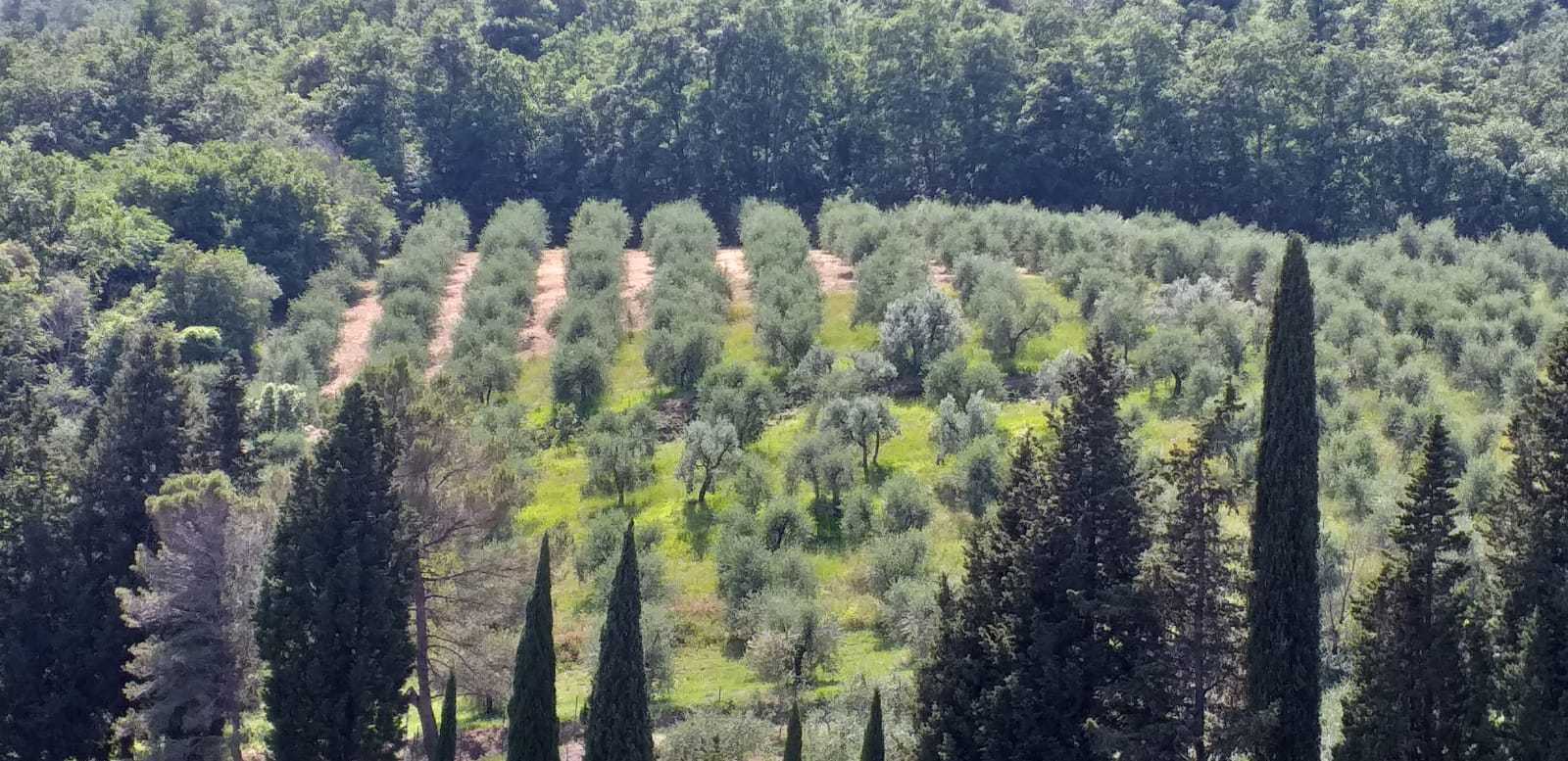 Villa in vendita in via san giusto, Livorno