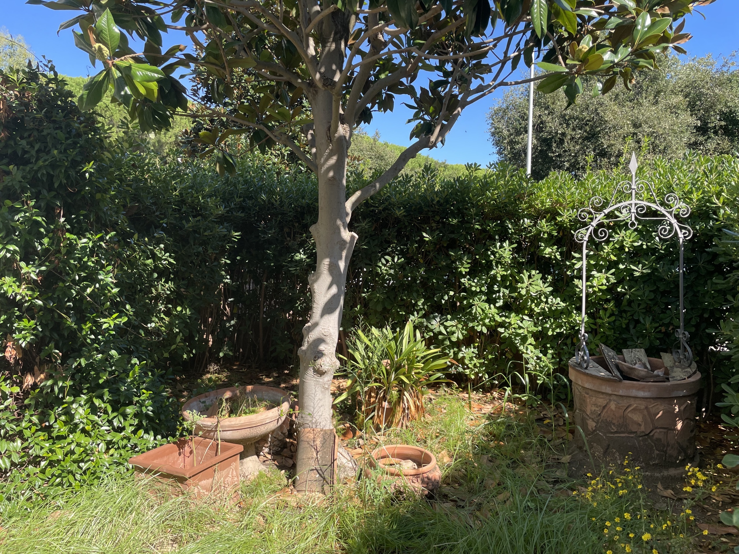 Casa indipendente in vendita in via perugia, Cecina