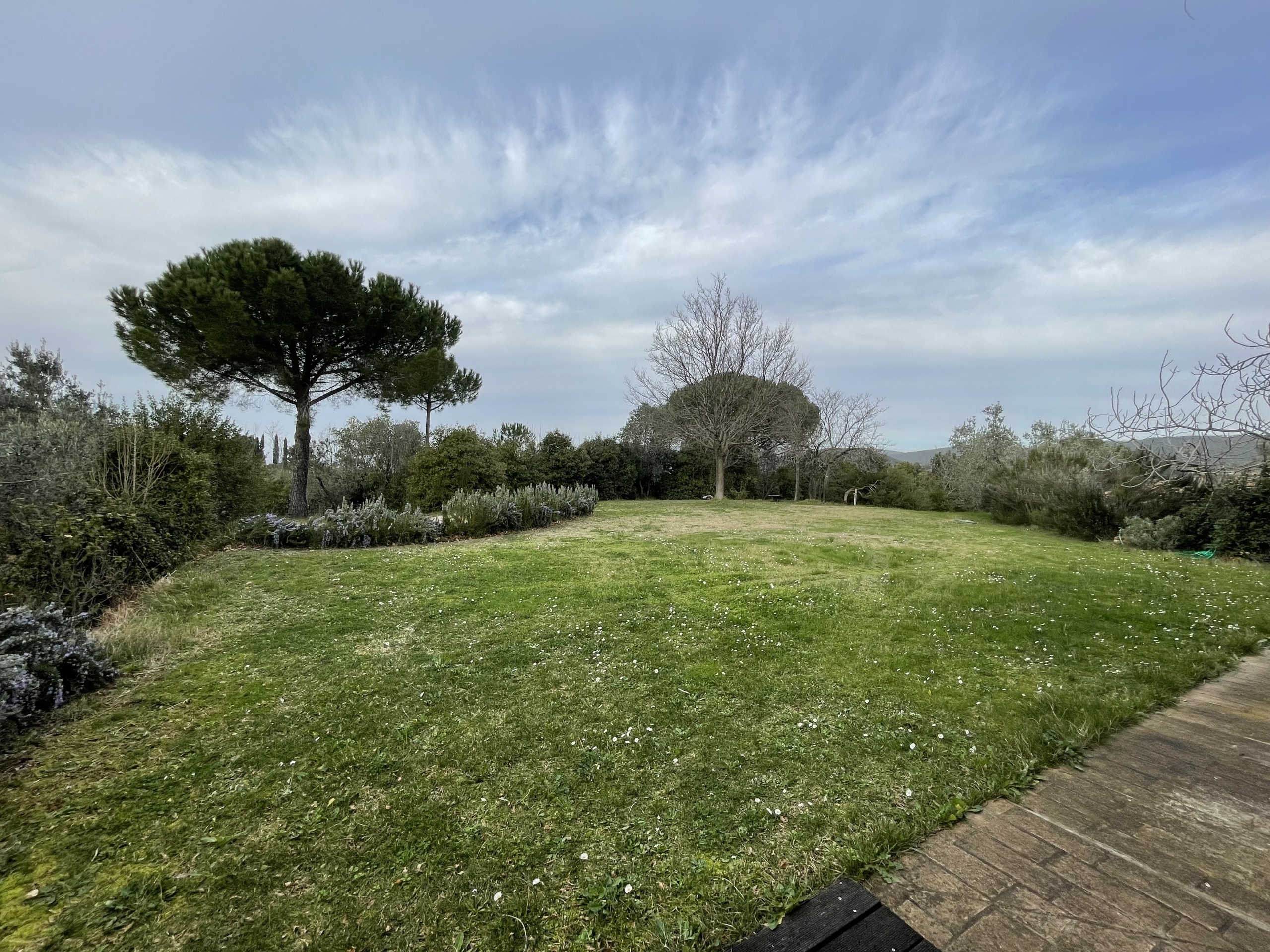 Rustico in vendita in via della sassetta, Castagneto Carducci